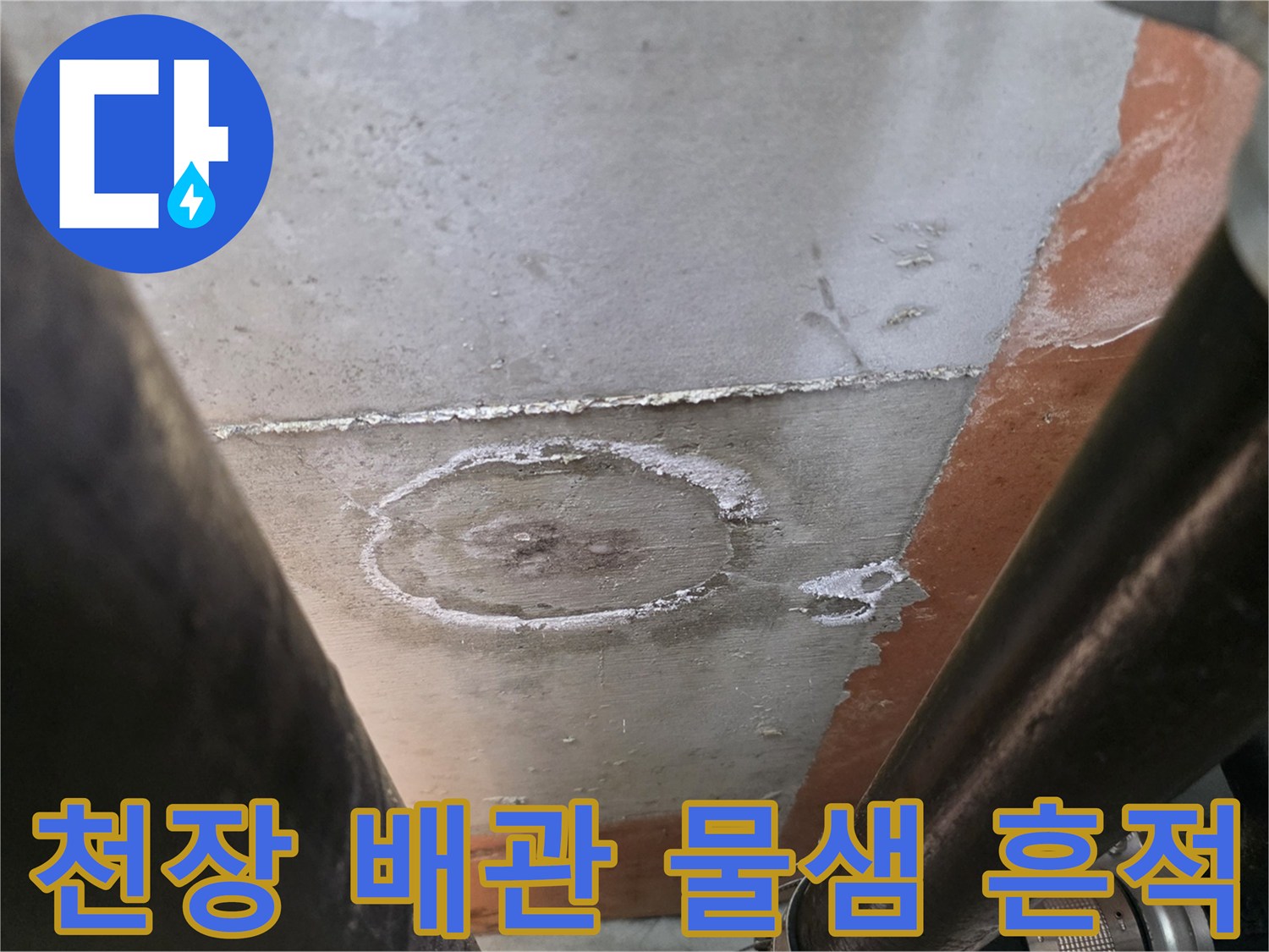 상도동 현장 - 배관 주변의 물샘 흔적과 습기 상태
