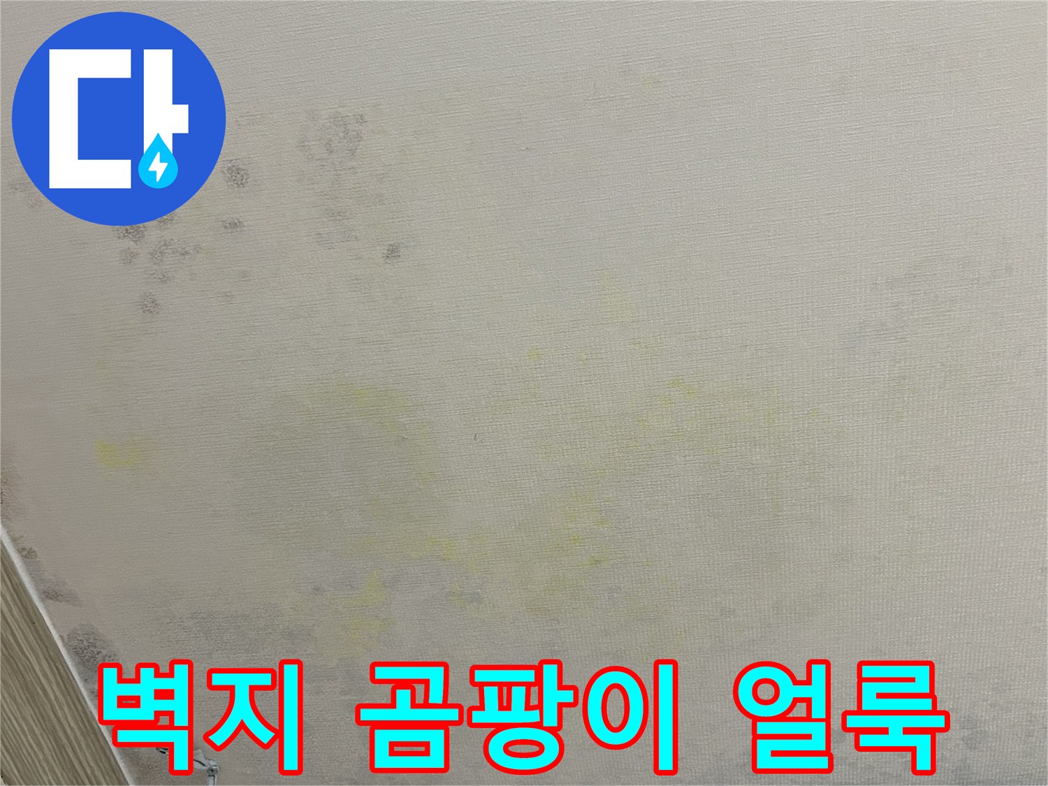 벽면 하단부의 습기로 인한 곰팡이 및 변색된 벽지 상세 사진