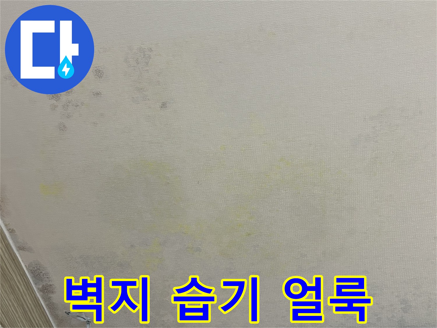천장 벽면을 타고 흐른 듯한 누수 자국과 변색 부위
