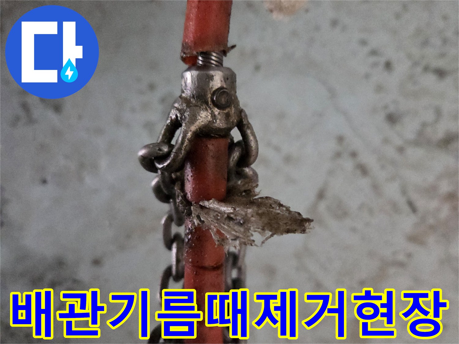 고압세척-장비에-걸려나온-하얀색-유지방-찌꺼기