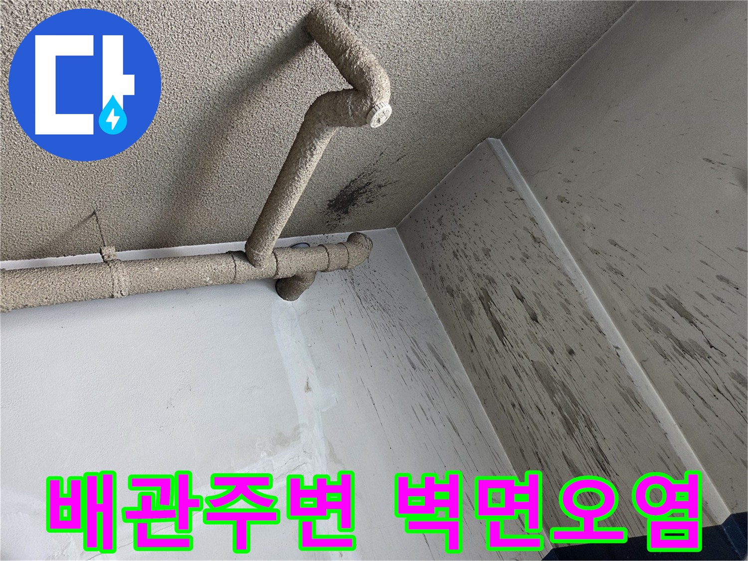 성북구-보문동-천장-배관-및-벽면-오염-상태