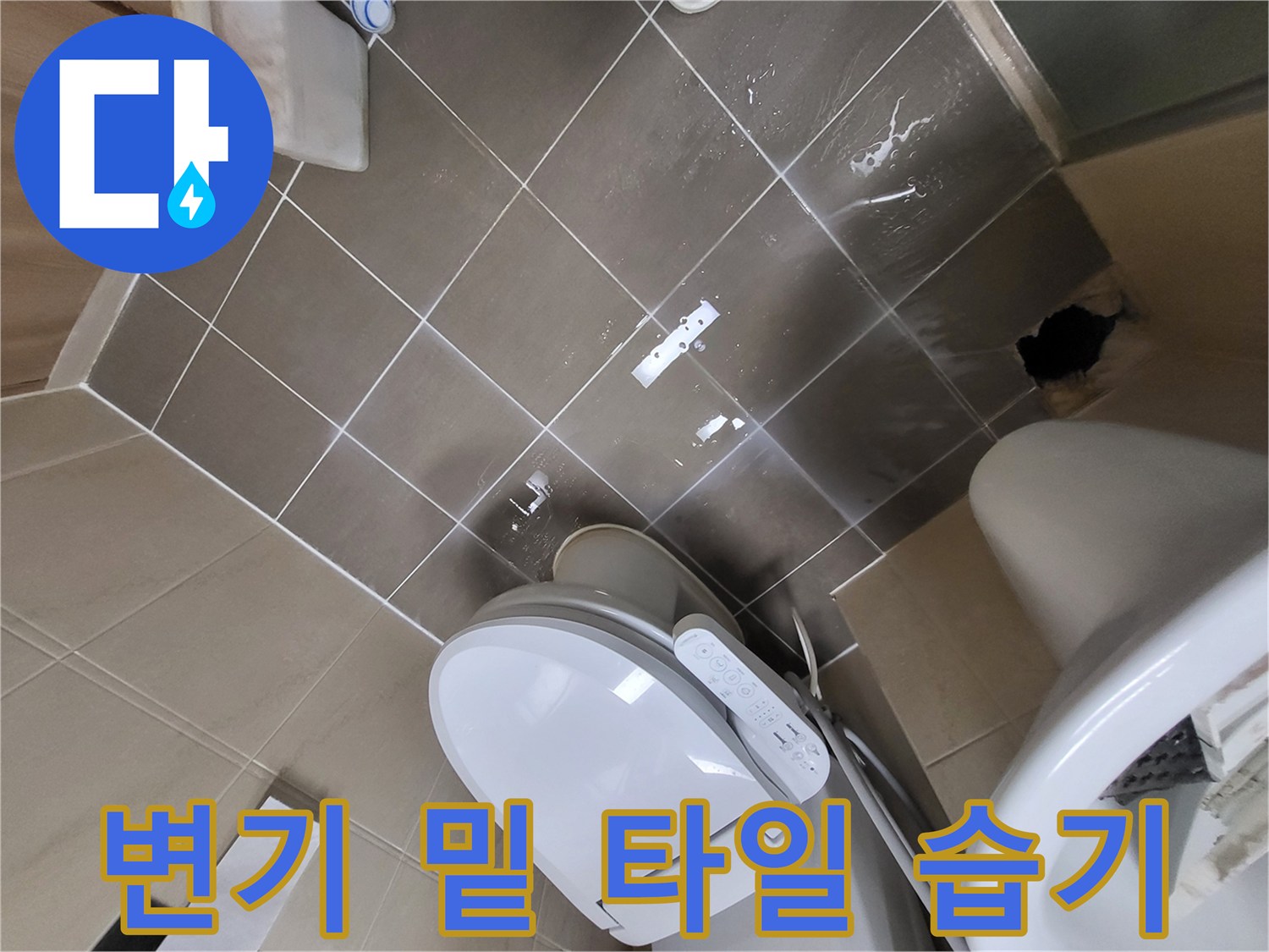 변기 근처 화장실-타일 틈새에 고인 물기