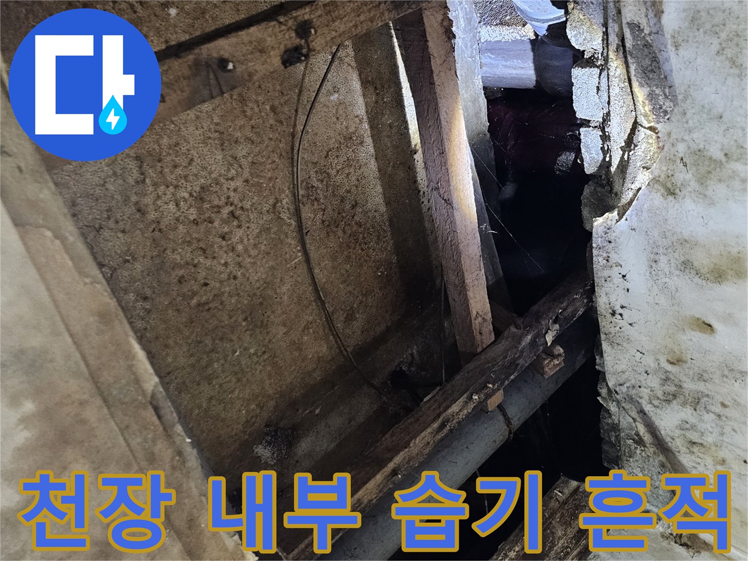 동작구 지하 천장-습기로 인해 젖어 있는 배관과 목재 지지대 상태