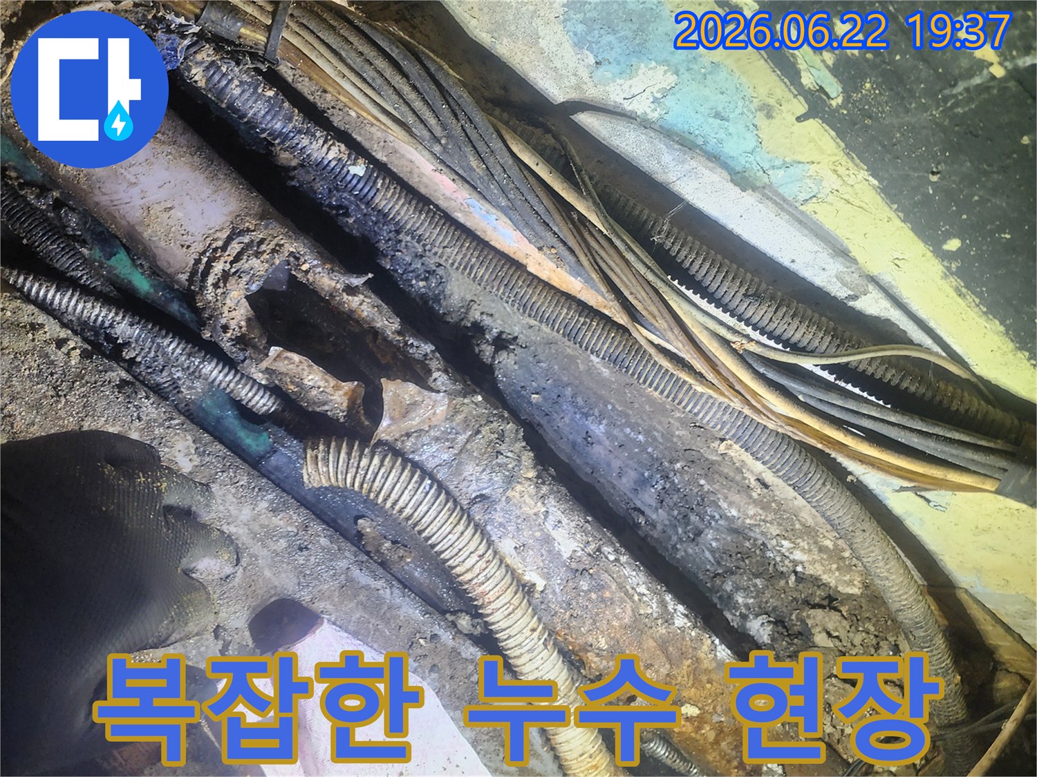 복잡하게-얽힌-전선과-심하게-손상된-배관이-보이는-누수-현장