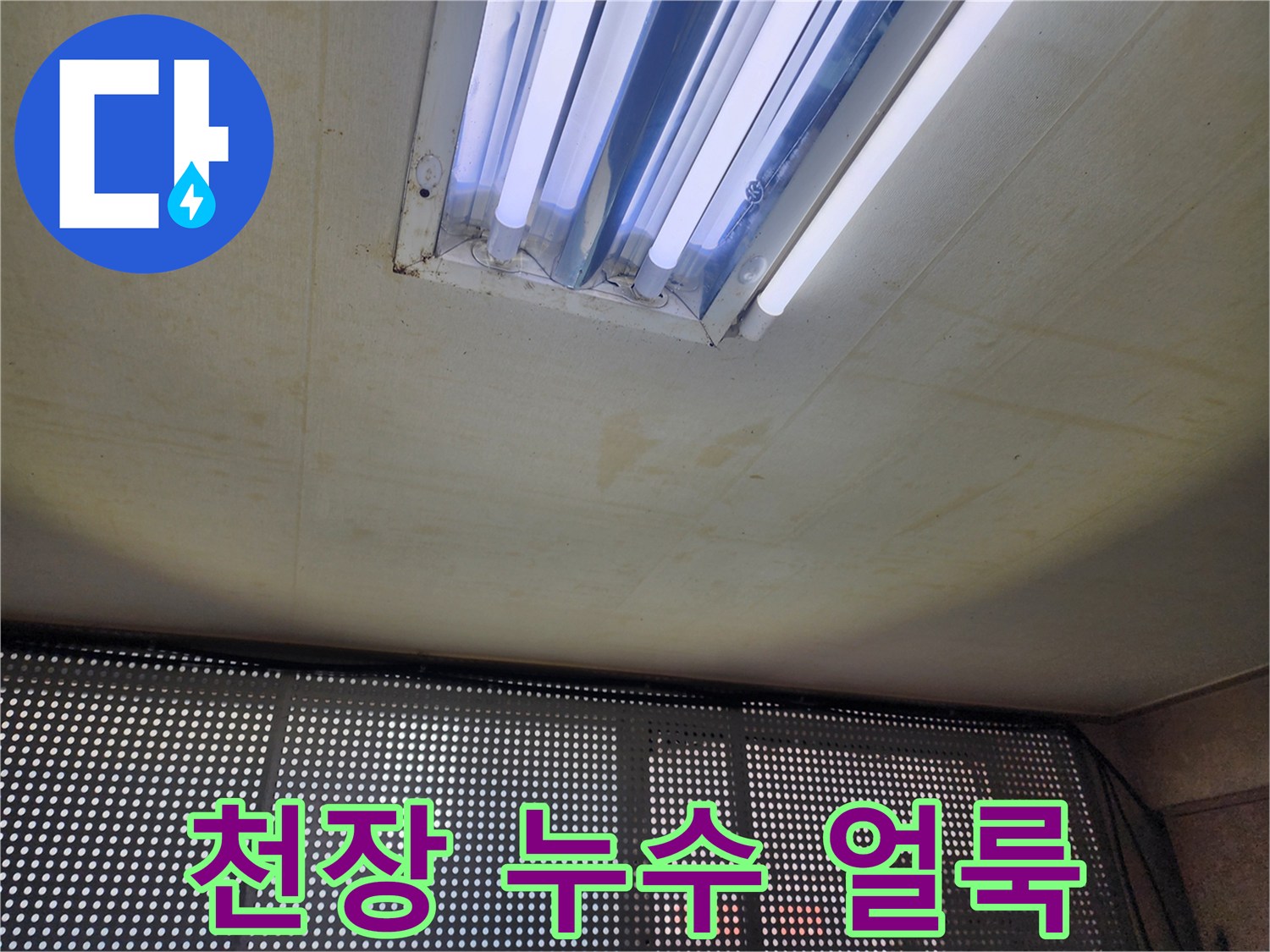 천장 조명 주변의 넓은 변색 범위