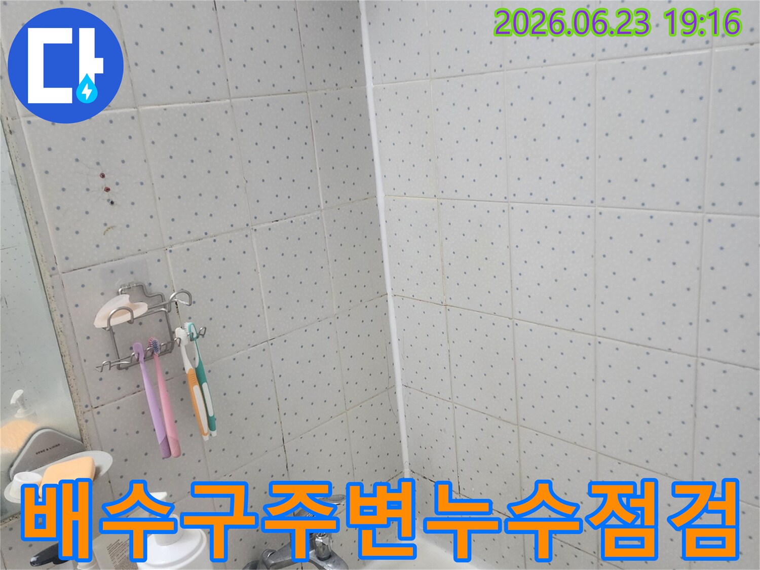 동대문구-사가정로-욕실-누수-바닥-배수구-주변-정밀-점검-현장-모습
