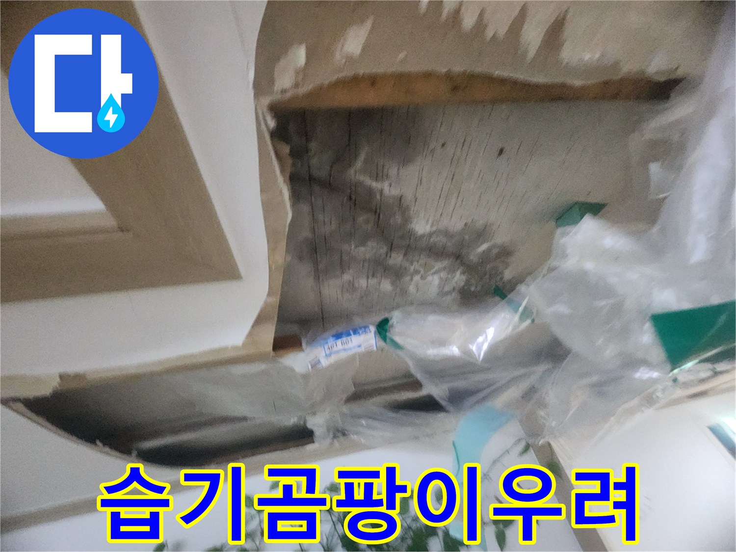 천장 내부의 습기와-물 자국으로 인한-곰팡이 발생 우려를 보여주는-누수 현장입니다