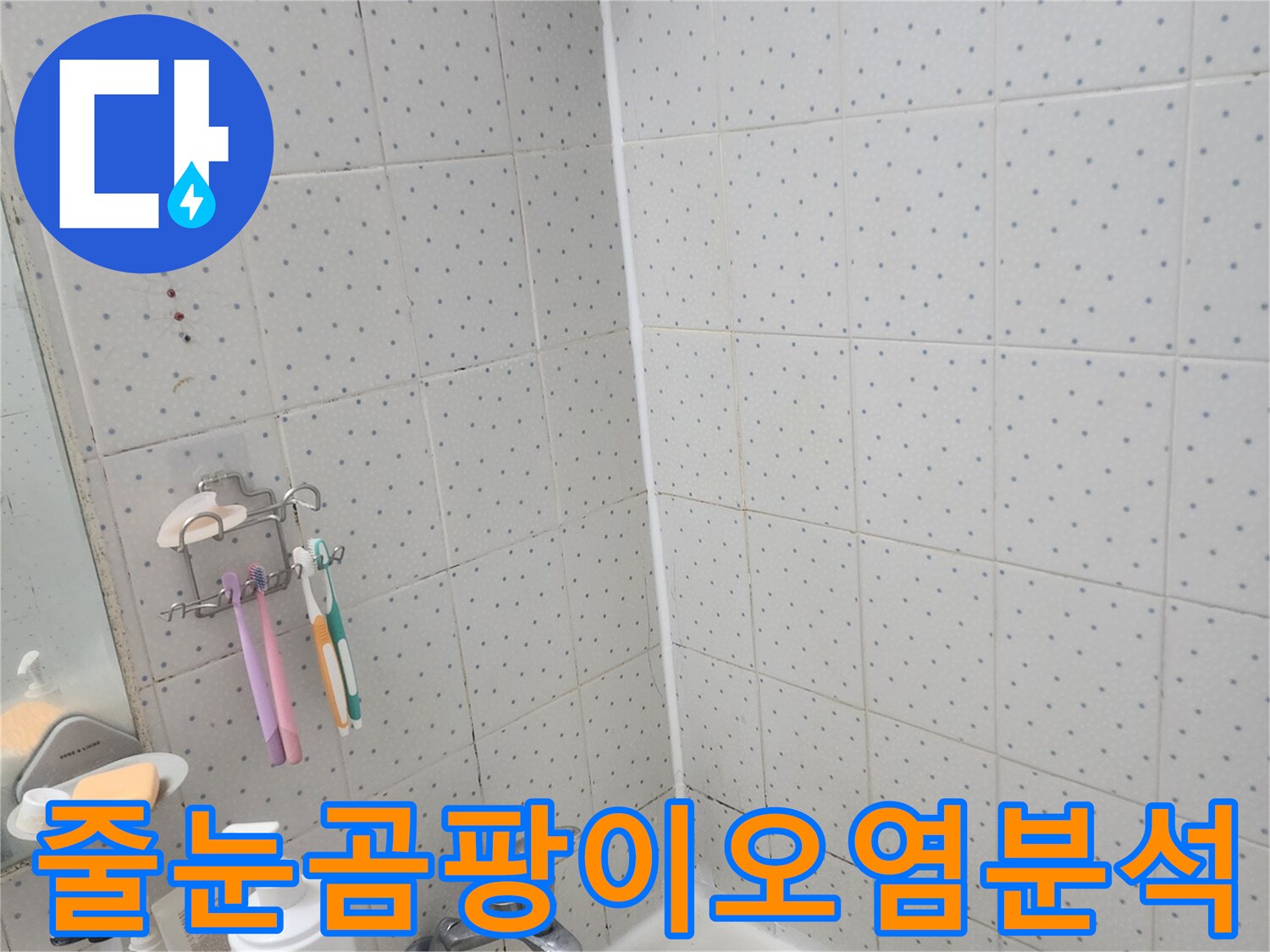 한신아파트-욕실-누수-타일-줄눈-곰팡이-오염-상태-정밀-분석-모습
