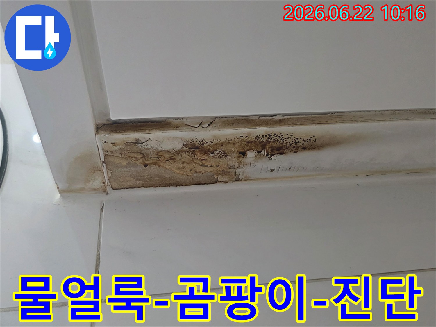 천장-모서리에-발생한-심각한-물얼룩과-곰팡이-누수로-인한-벽면-손상-모습