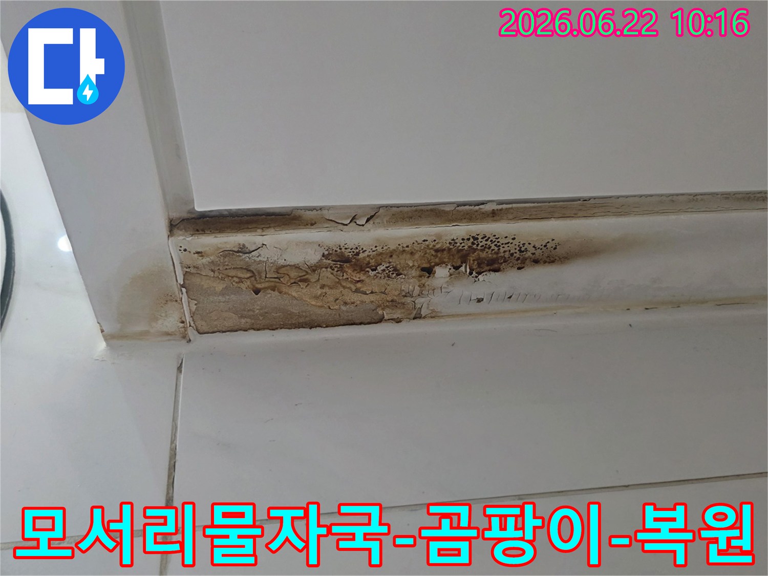 천장-모서리에-발생한-심각한-물자국과-곰팡이-누수로-인한-벽면-손상-모습