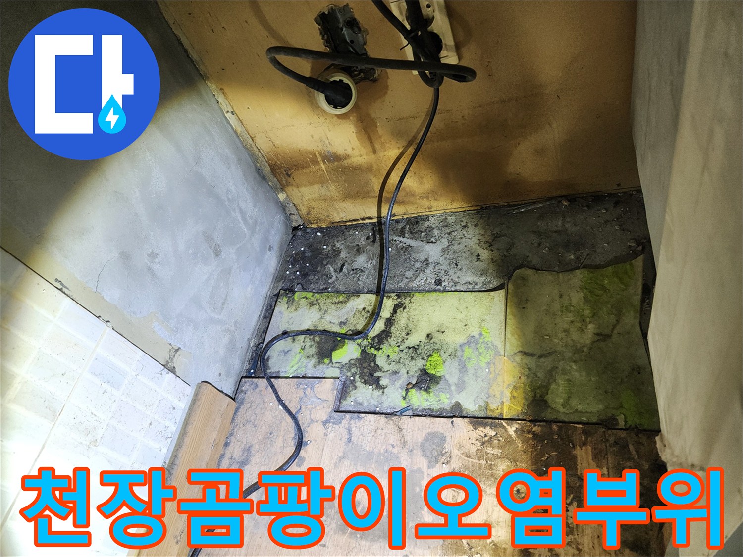 누수흔적-벽면 하단에 발생한 심한 곰팡이와 얼룩