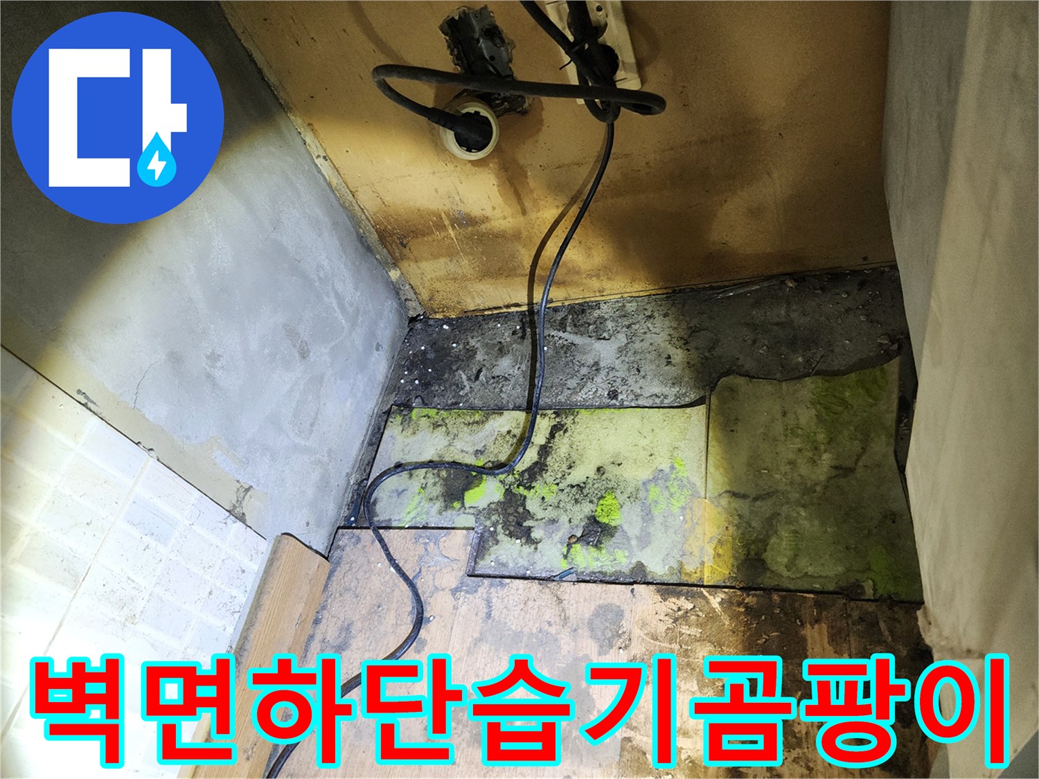송파구 현장-물샘으로 인해 곰팡이가 번진 벽체 하단