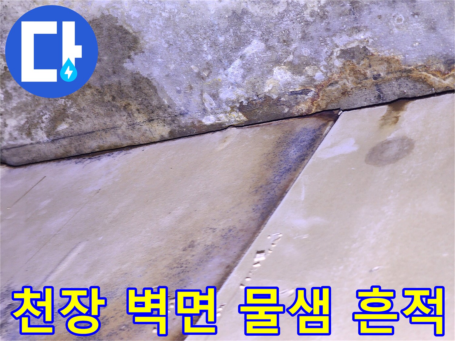 송파구 현장-천장과 벽면의 젖은 얼룩 상태