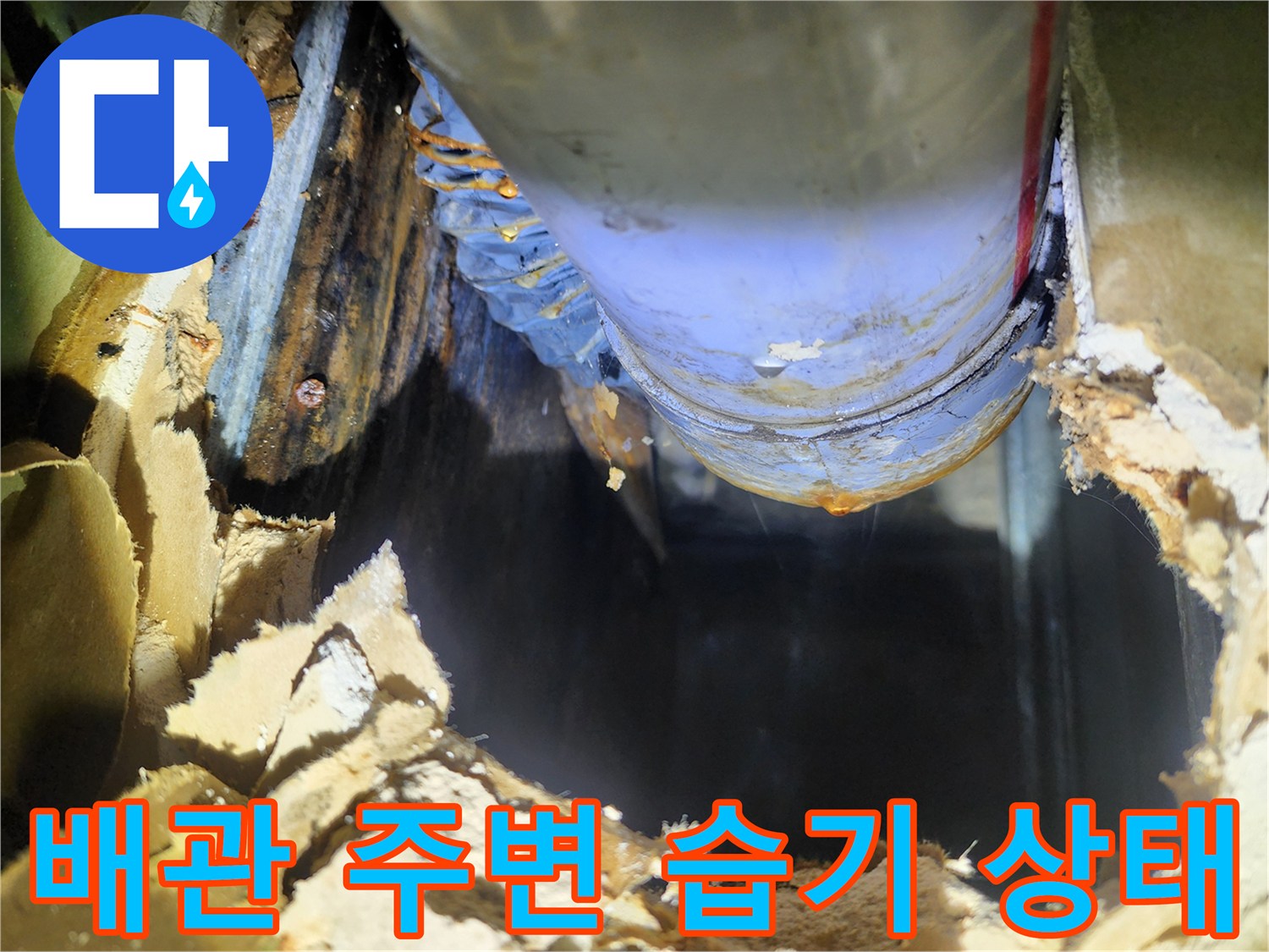 천장 내부 배관-주변의 젖은 단열재와 곰연 흔적
