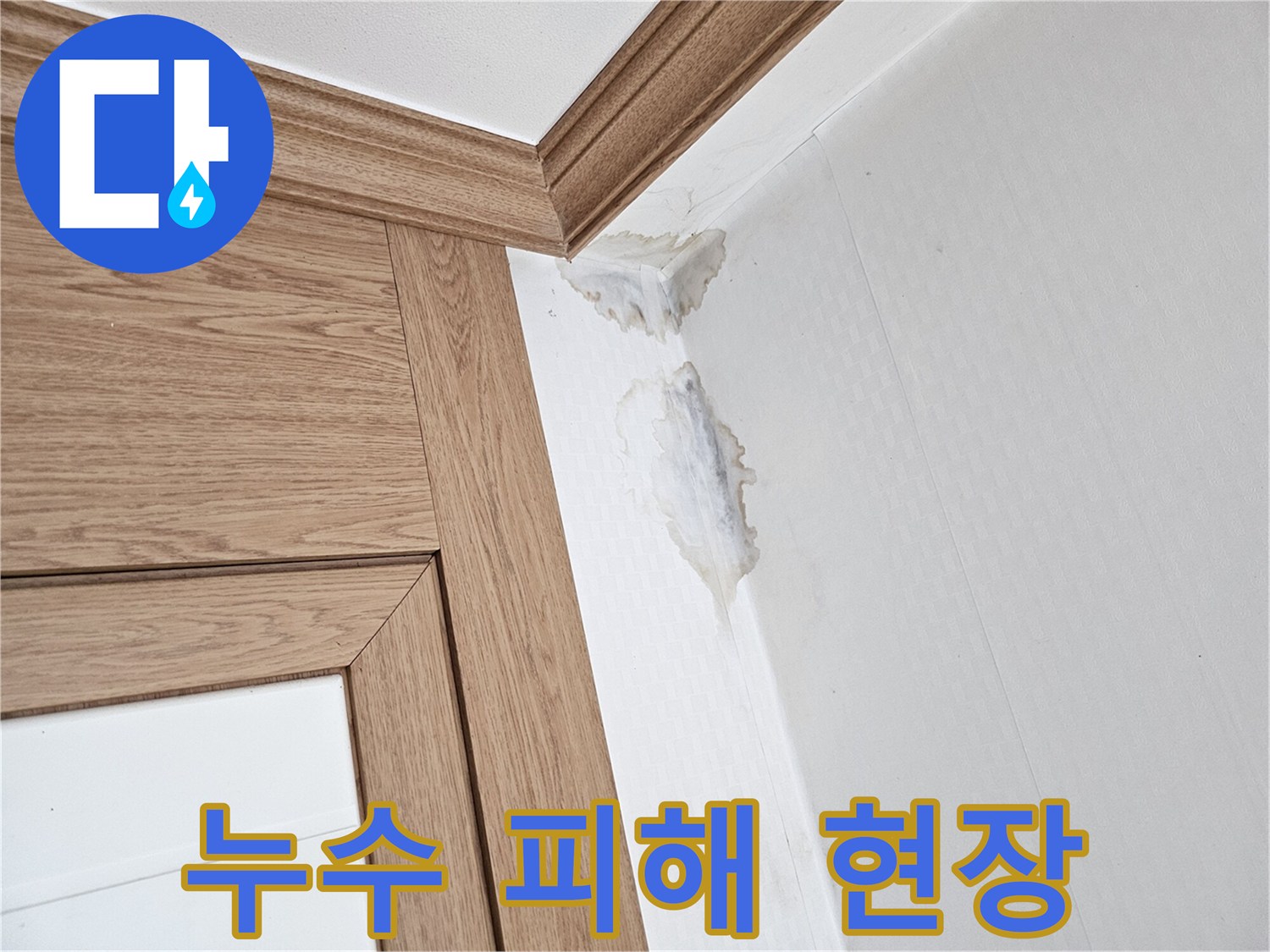 물에 젖어-변색된 벽지와-천장 모서리의-누수 흔적을-담은 사진.