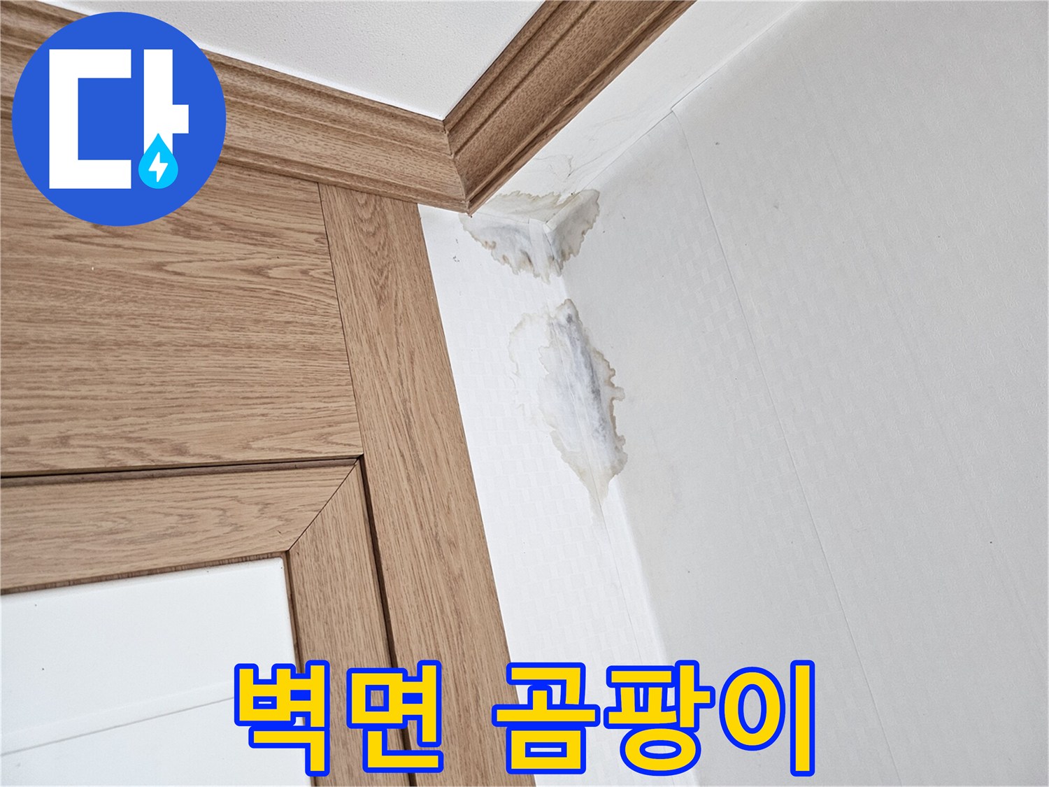이 이미지는-벽과 천장 모서리에-누수로 인한-젖은 자국과-곰팡이가 생긴-모습을 보여줍니다.