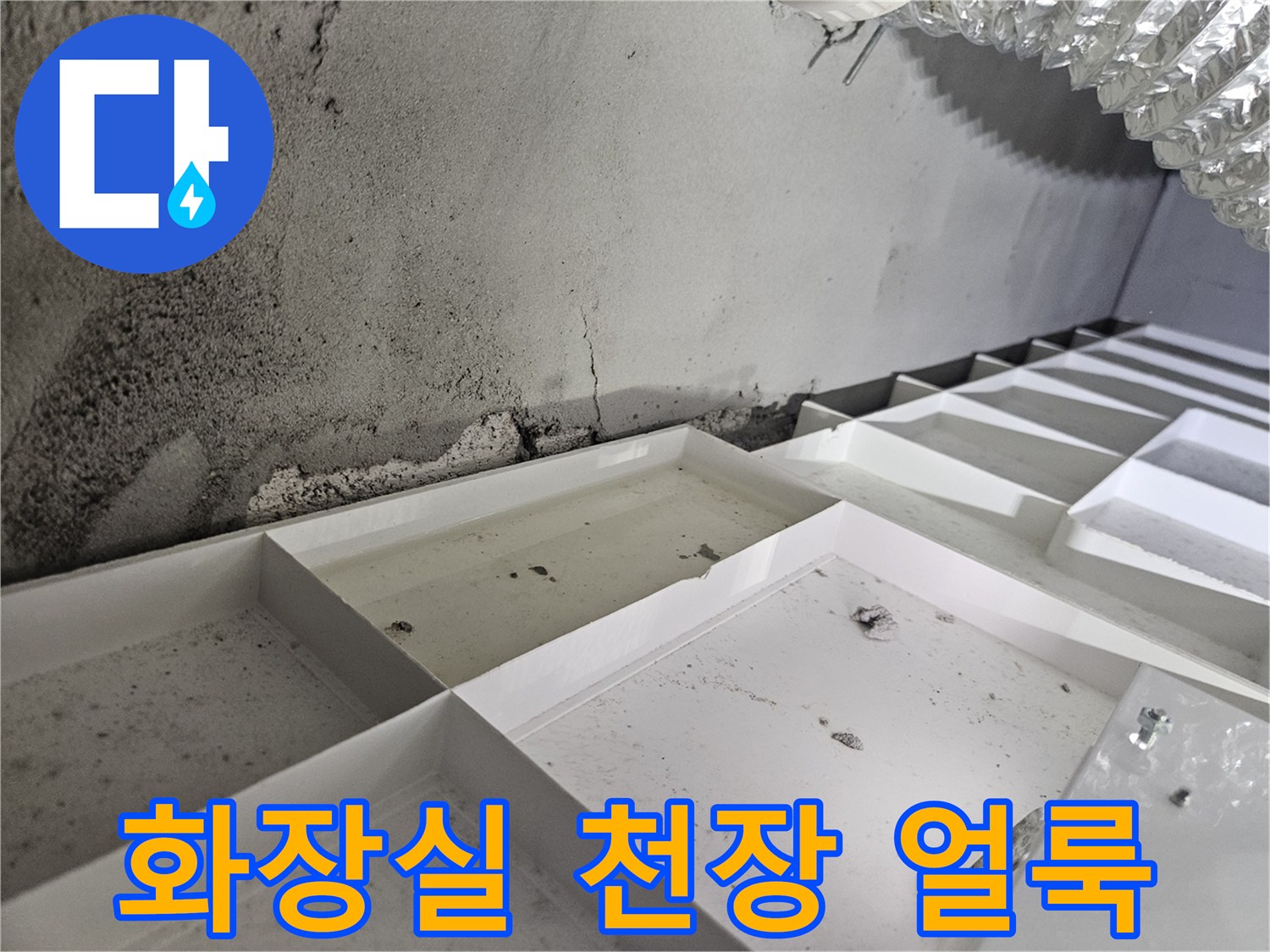 화장실-천장-콘크리트-부위의-젖은-얼룩과-습기