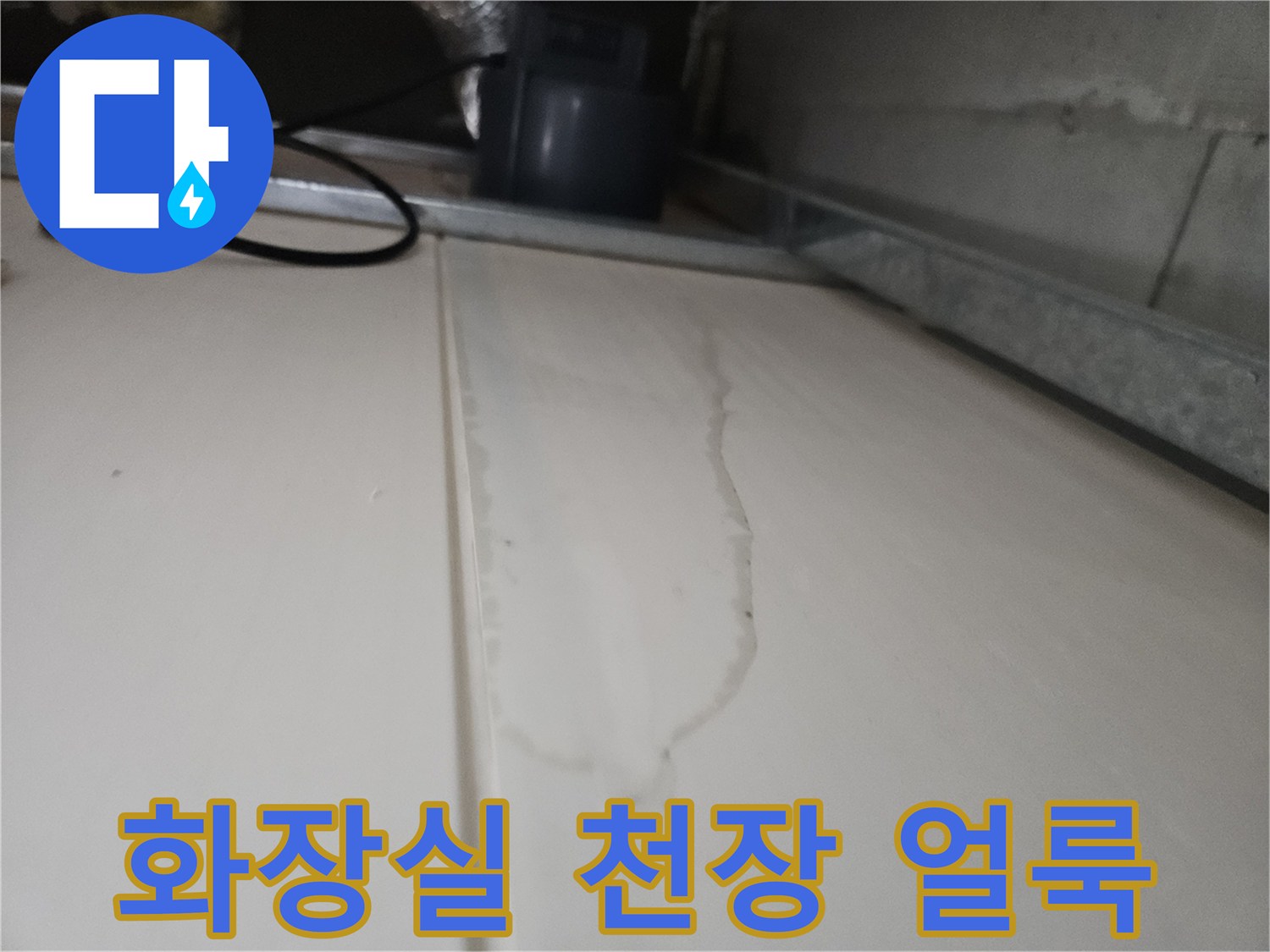 김포 장기동 화장실 천장재에 발생한 젖은 얼룩 사진