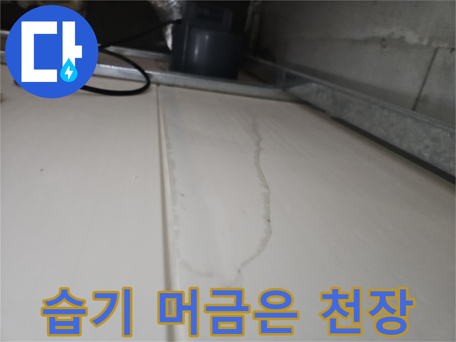 물기에 젖어 어둡게 변한 화장실 천장재 부위