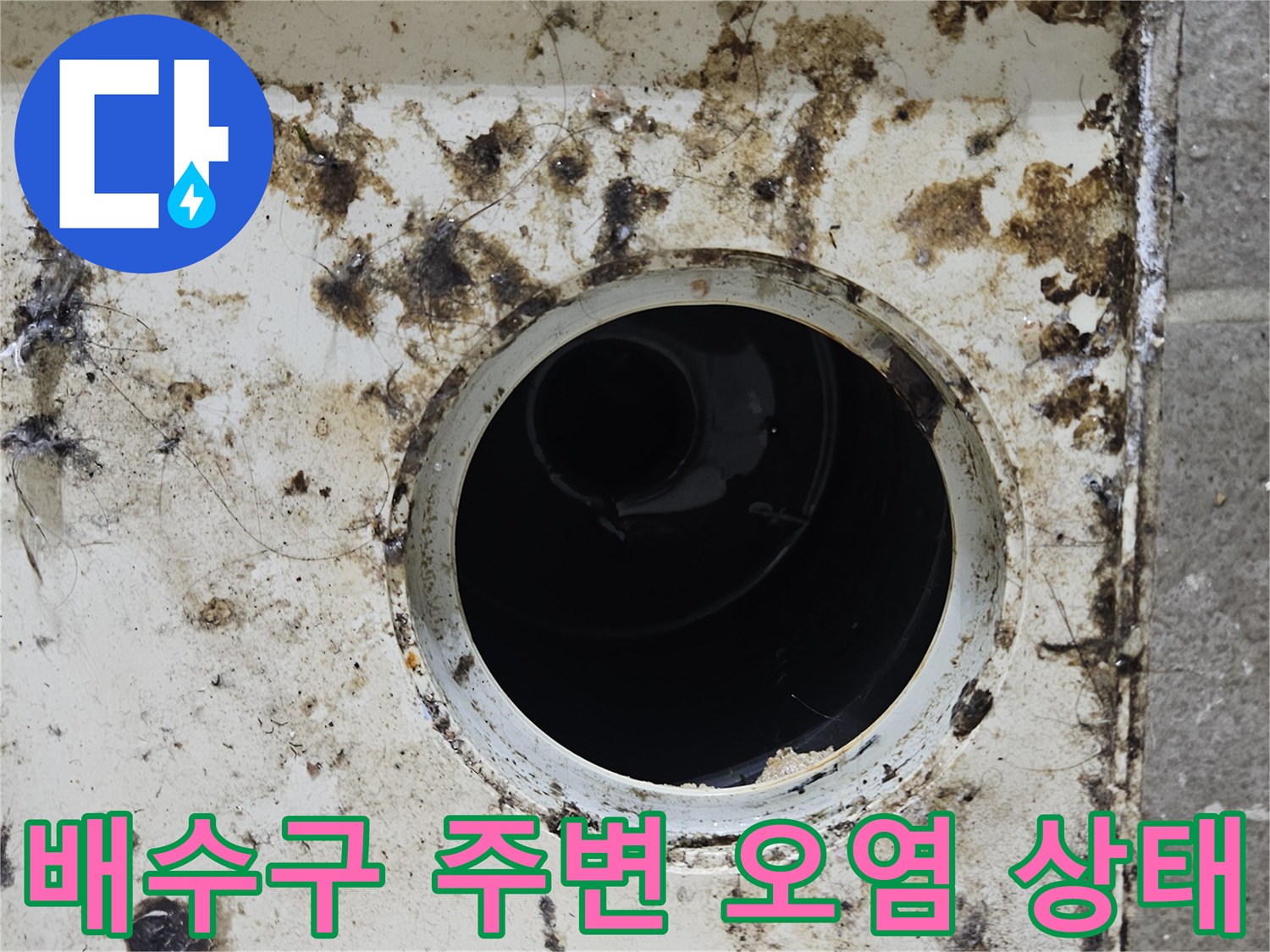 배수구-주변의-심한-이물질과-오염-상태