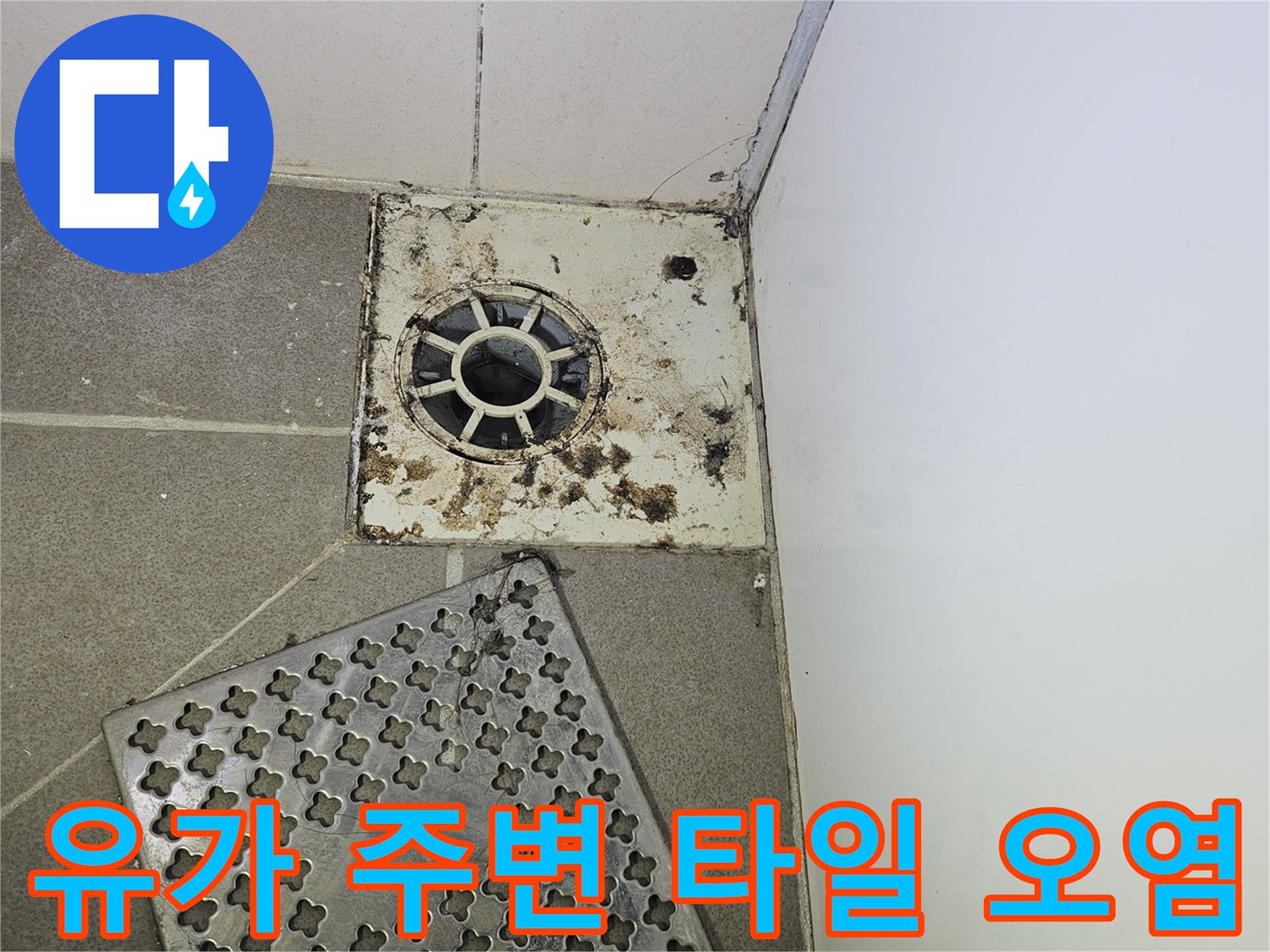 배수구-주변의-지저분한-타일-틈새-모습