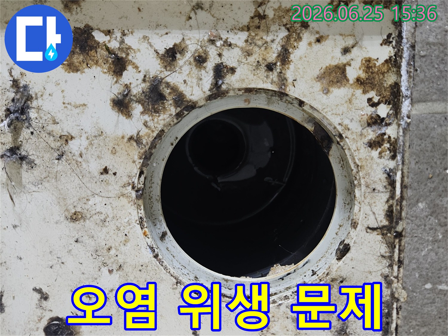 오염된 배수구 주변에 검은 곰팡이와 찌든 때가 심하게 낀 모습-위생상 심각한 문제를 유발할 수 있습니다
