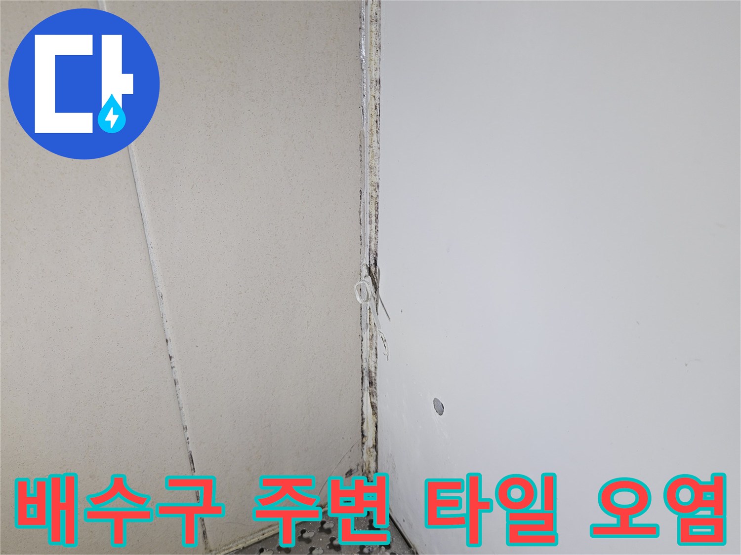 유가 배수구와 인접한 타일 사이의 변색된 틈새 영역