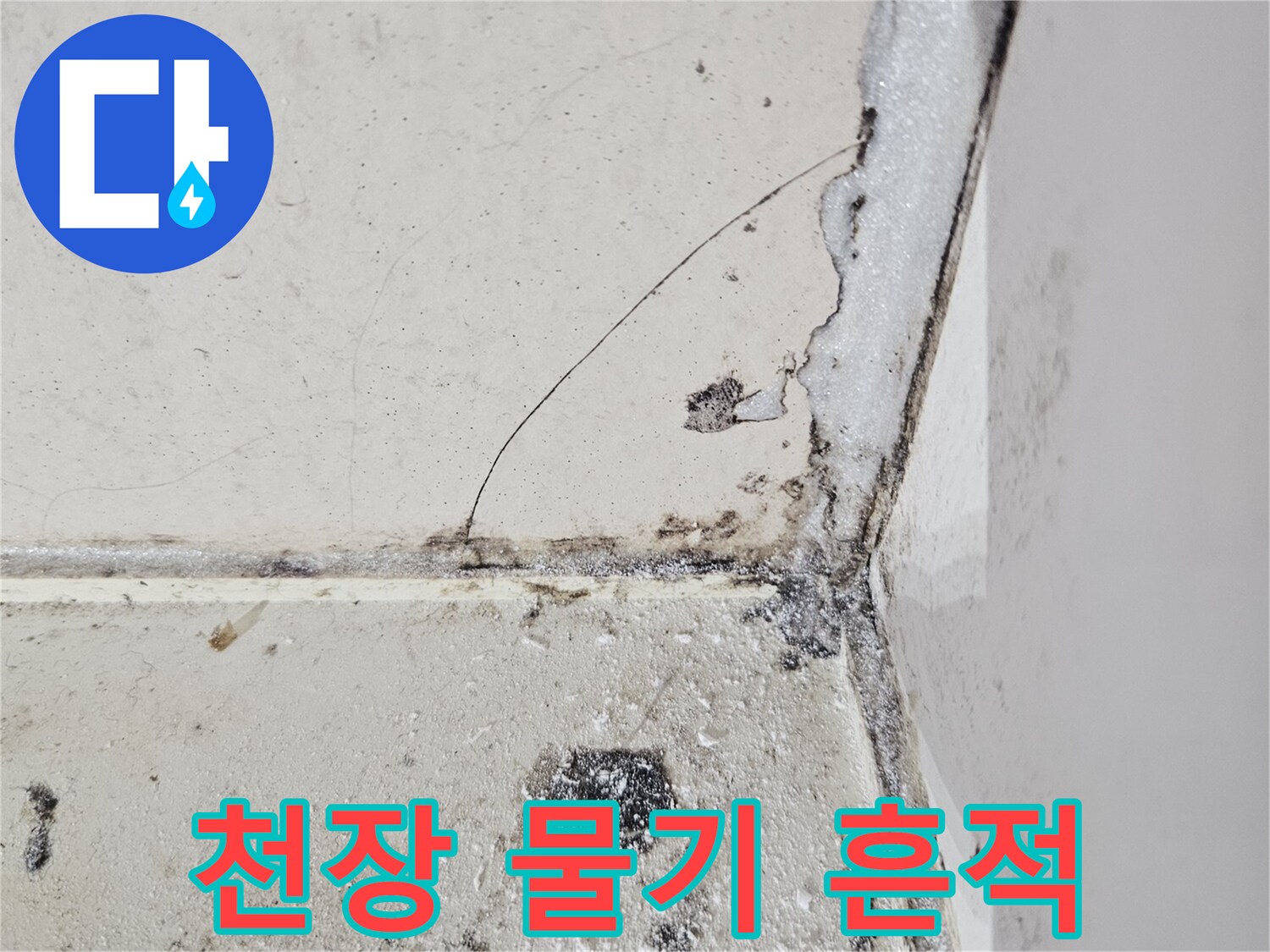 화장실-천장-모서리-부분의-물자국-및-오염