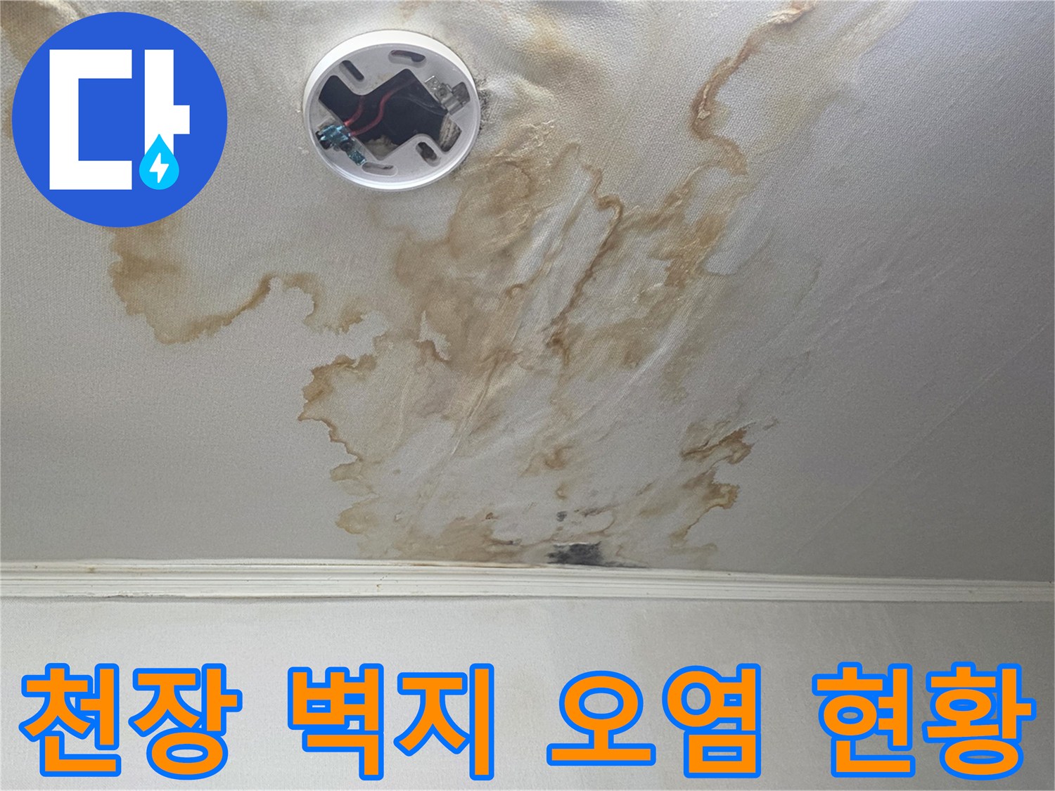 가양동 아파트 거실-누수로 인한 천장 변색 부위