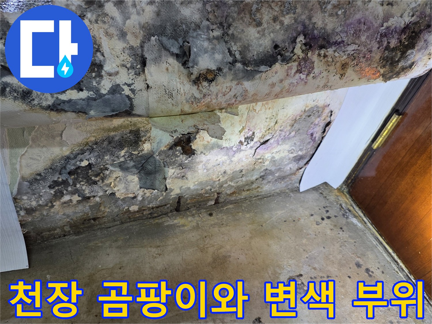 누수로 인해 넓게 퍼진 곰팡이와 천장 얼룩