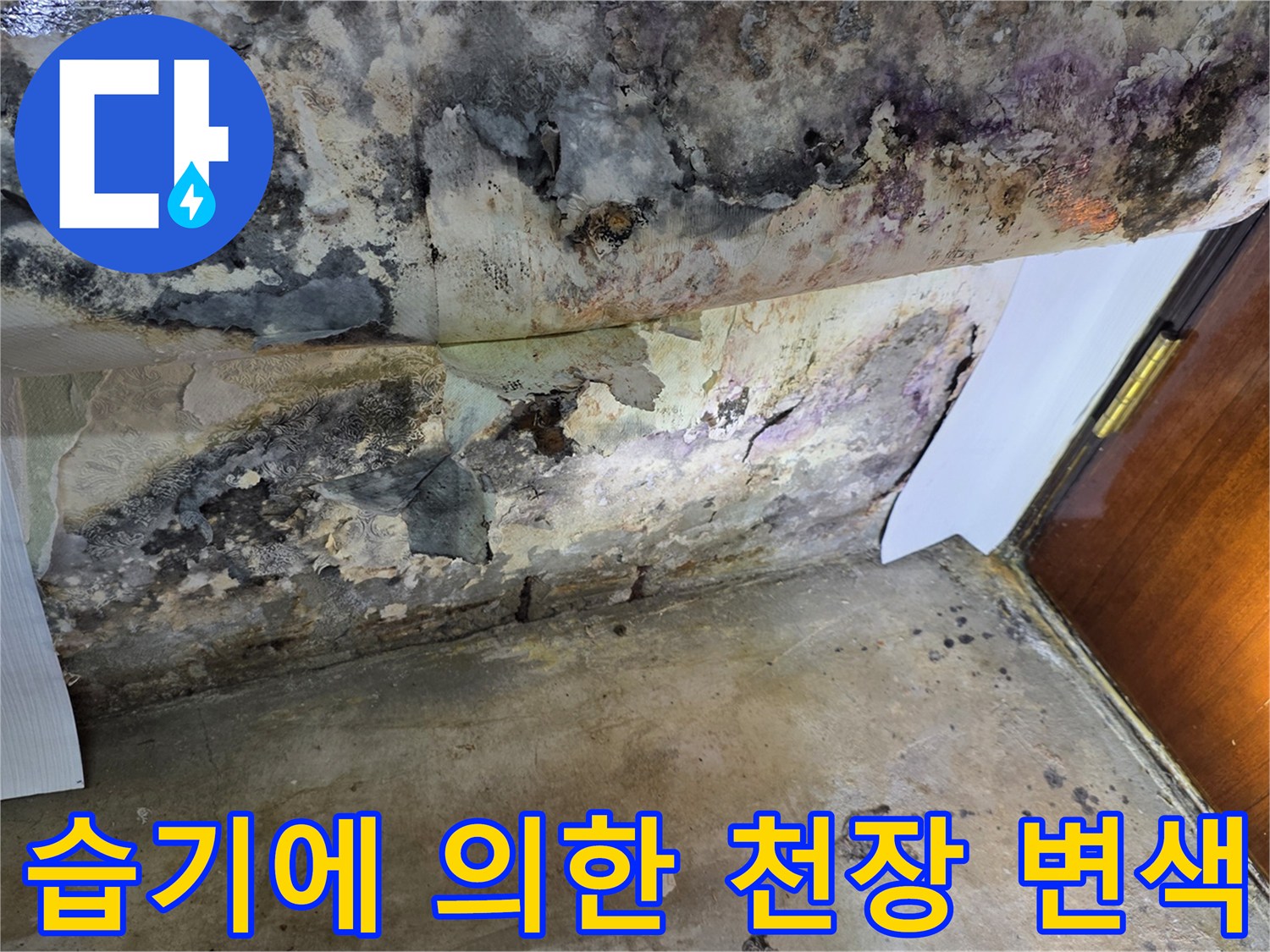심한 누수로 인해 곰팡이가 발생한 천장 사진
