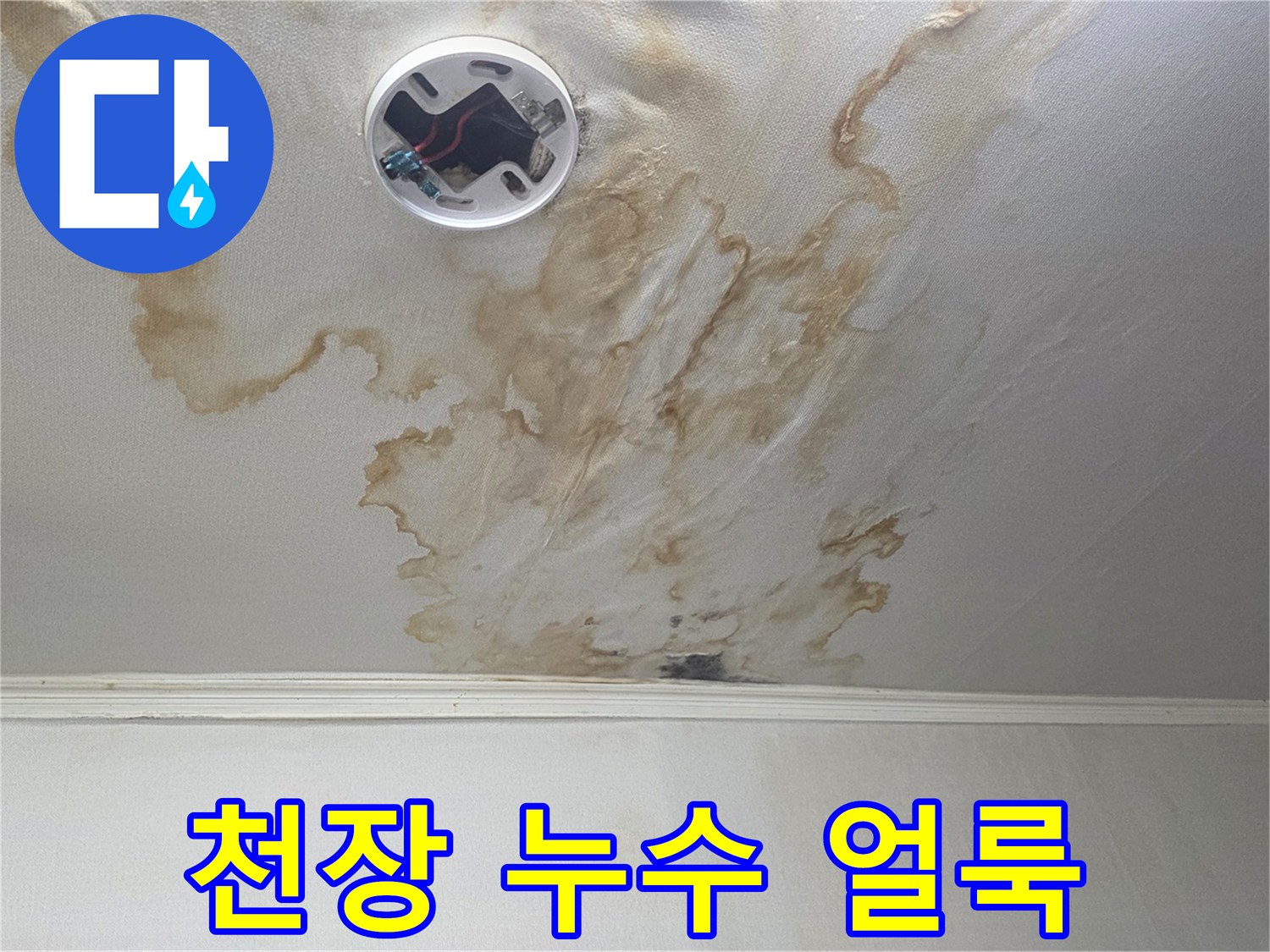 천장-도배지-사이로-스며든-물자국-현상