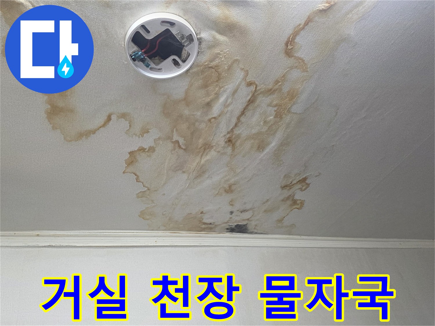 천장 조명 주변에 발생한 곰팡이와 습기 흔적 - 누수 피해 상황 기록