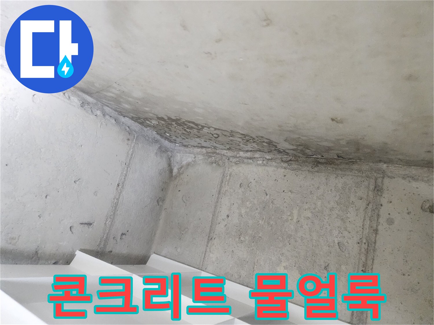 물방울이 맺히고-곰팡이가 시작된-화장실 천장-누수 현장입니다.
