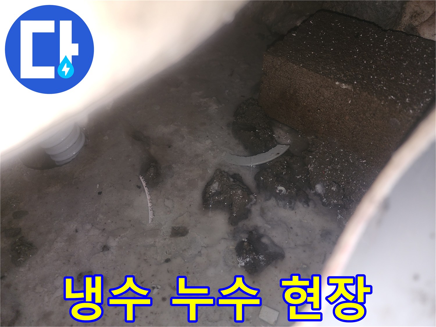 물이 고여-오염된-화장실 바닥-누수 현장-정밀 탐지 중