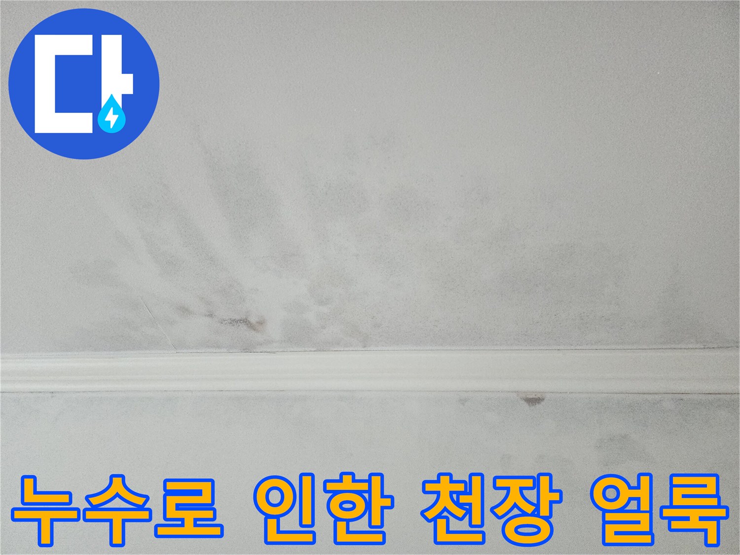 오랜 기간 방치된 천장 누수-변색과 함께 습기가 가득한 모습