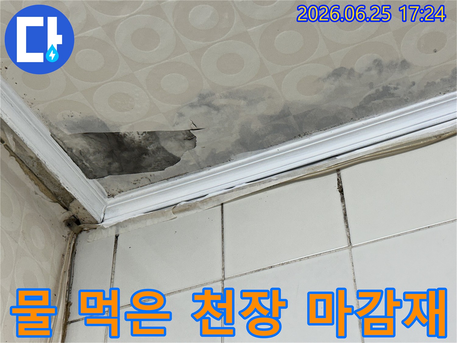 심각한-수분-침투로-인해-천장-재료가-붕괴되고-곰팡이가-생성된-현장