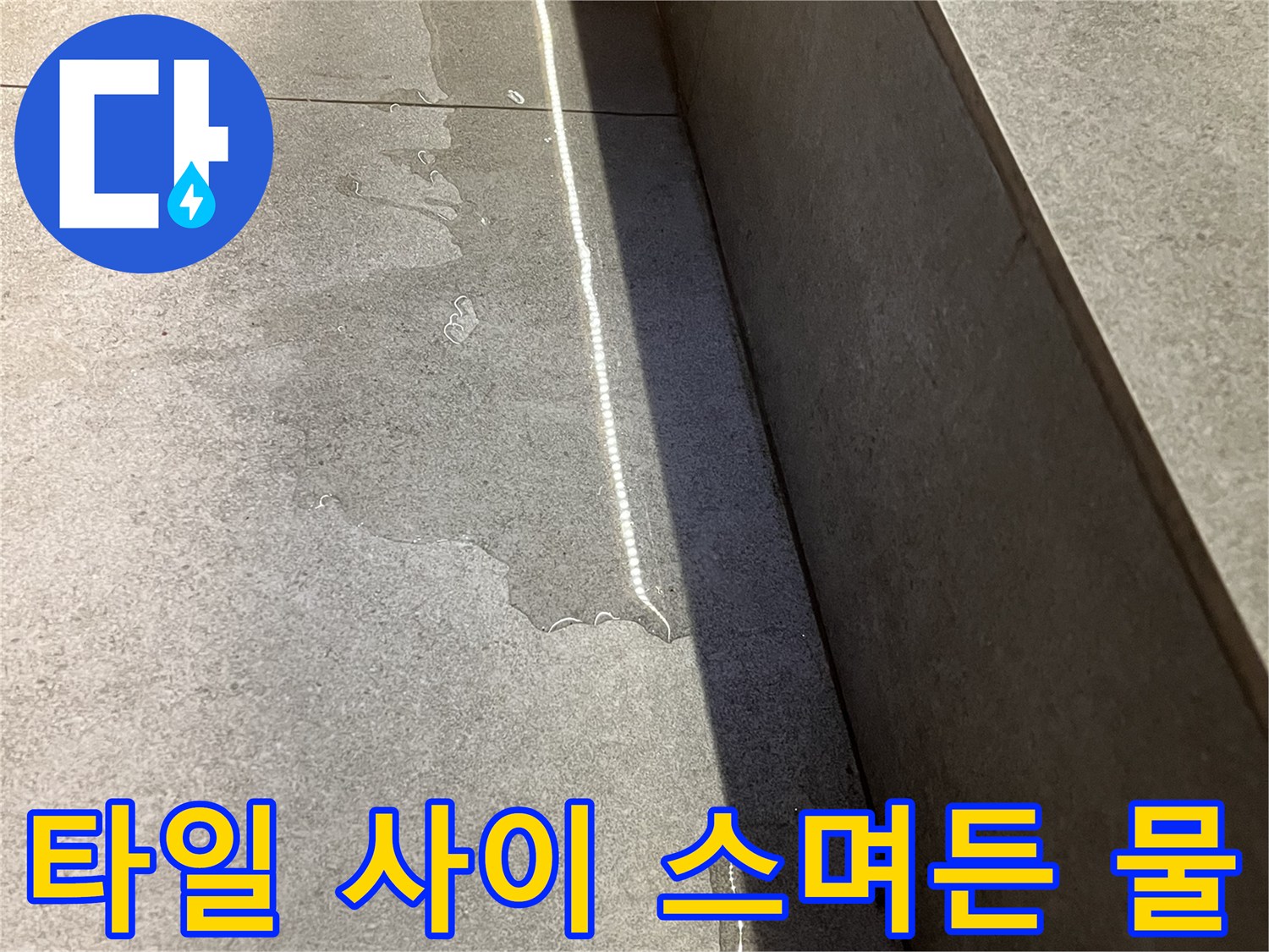 타일 줄눈 사이로 습기가 올라와 젖어 있는 모습입니다.