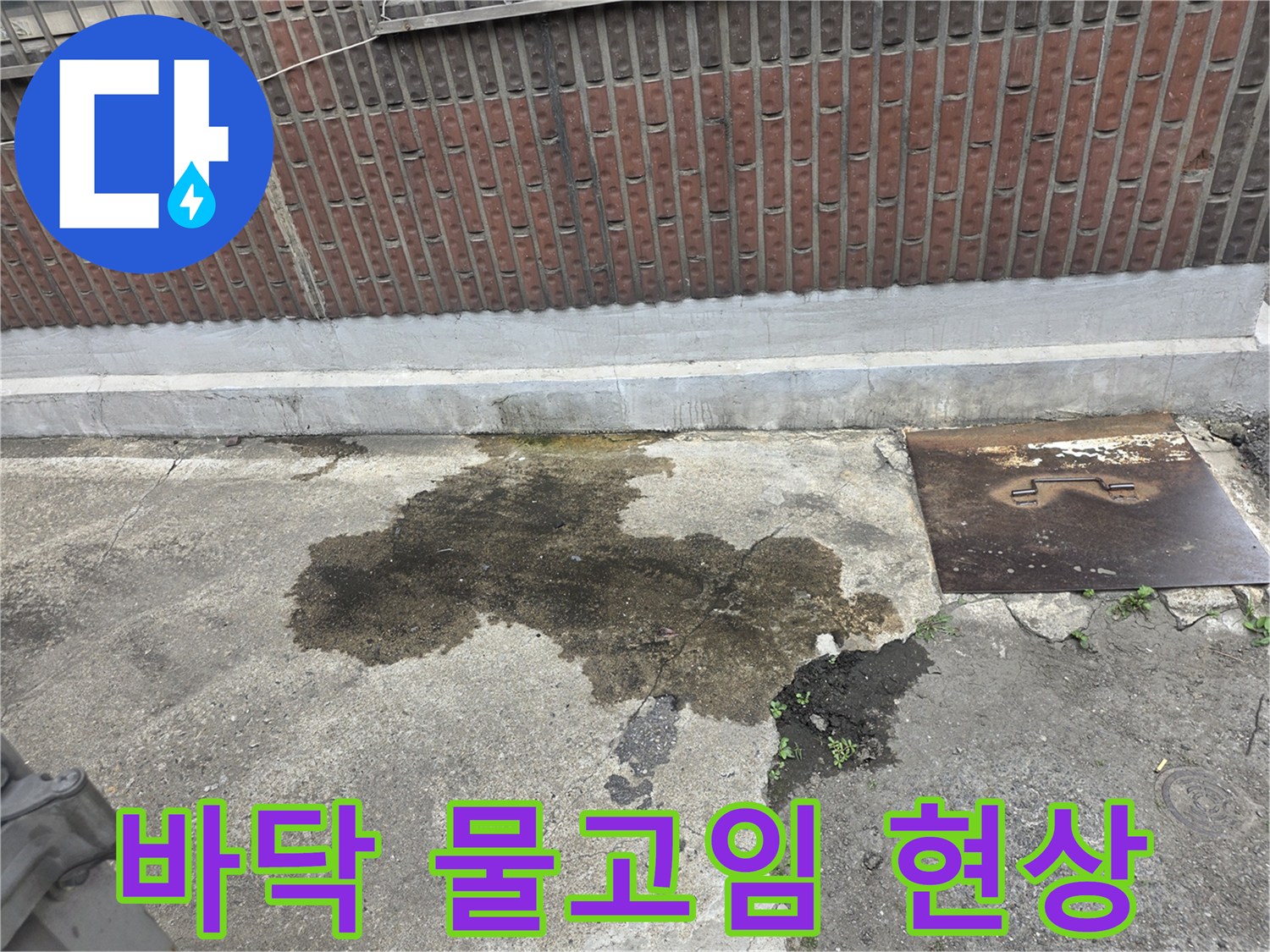 광명동 건물 외부 바닥의 젖은 얼룩과 맨홀 덮개 모습