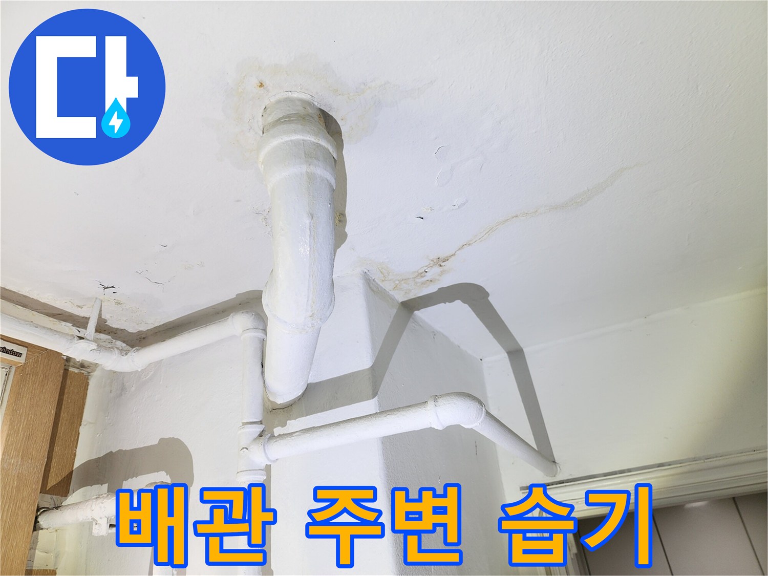 배관-주변의-습기로-인한-천장-얼룩-및-곰팡이