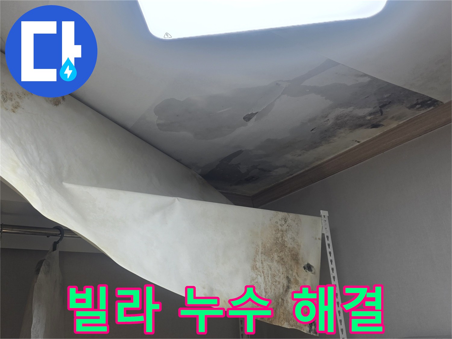 빌라 천장에서 물이 새서-벽지가 젖고-곰팡이가 발생한-현장을 해결 중입니다