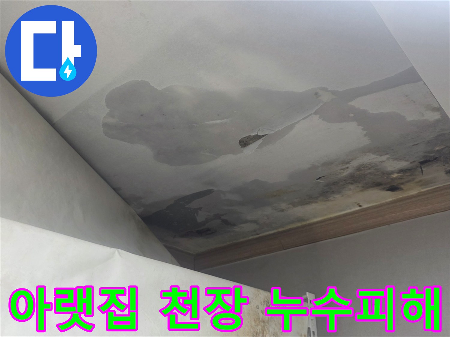 이 이미지는 천장에 심각한 물 손상과 곰팡이 성장을 보여주며-이는 위층에서 발생한 상당한 누수를 나타냅니다.