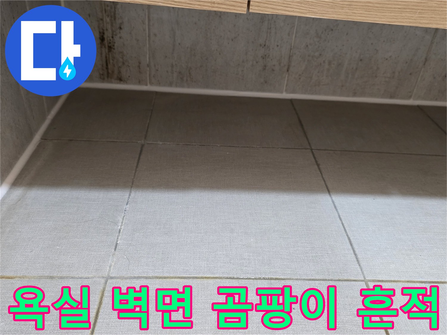 욕실-타일-벽면-하단부-곰팡이-및-오염-상태