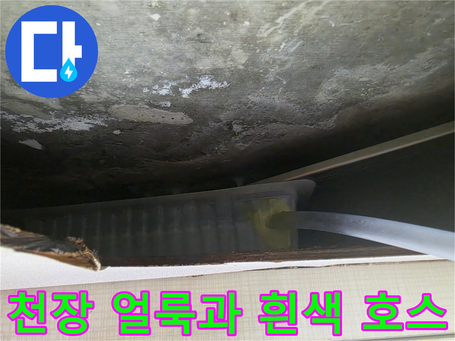 물샘 흔적이 남은 천장 구조물과 새로 연결된 배수관 연장선