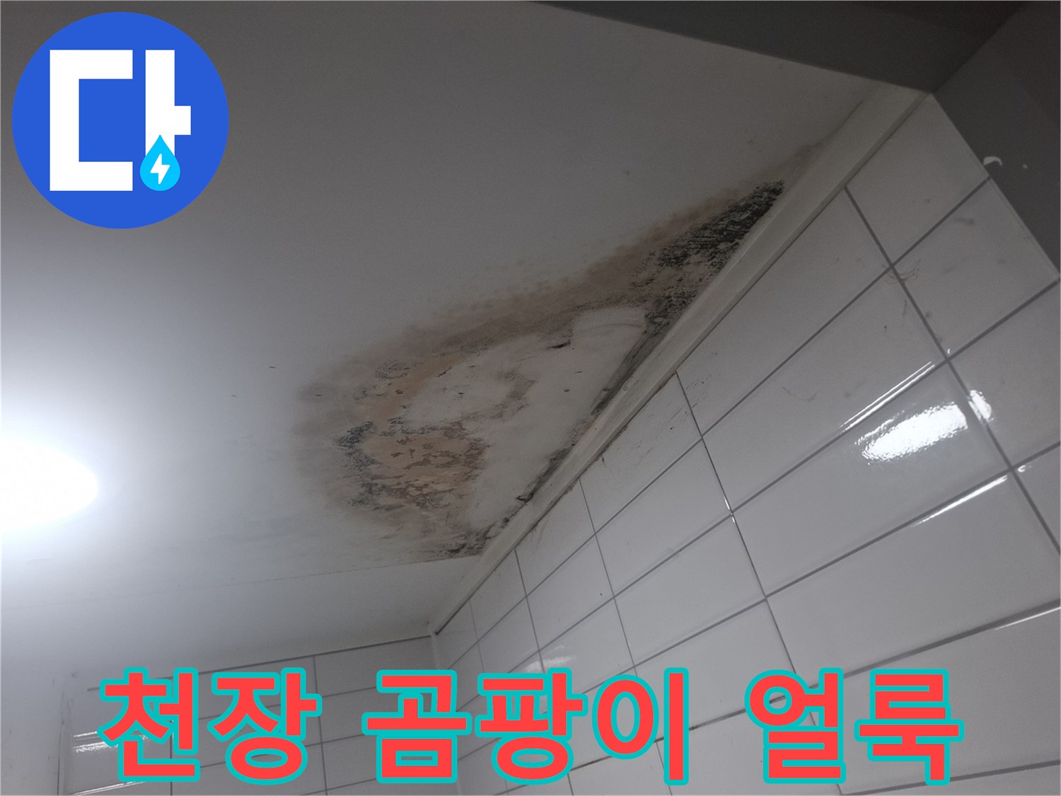 화장실-천장-부근의-심한-곰팡이와-물자국-상태