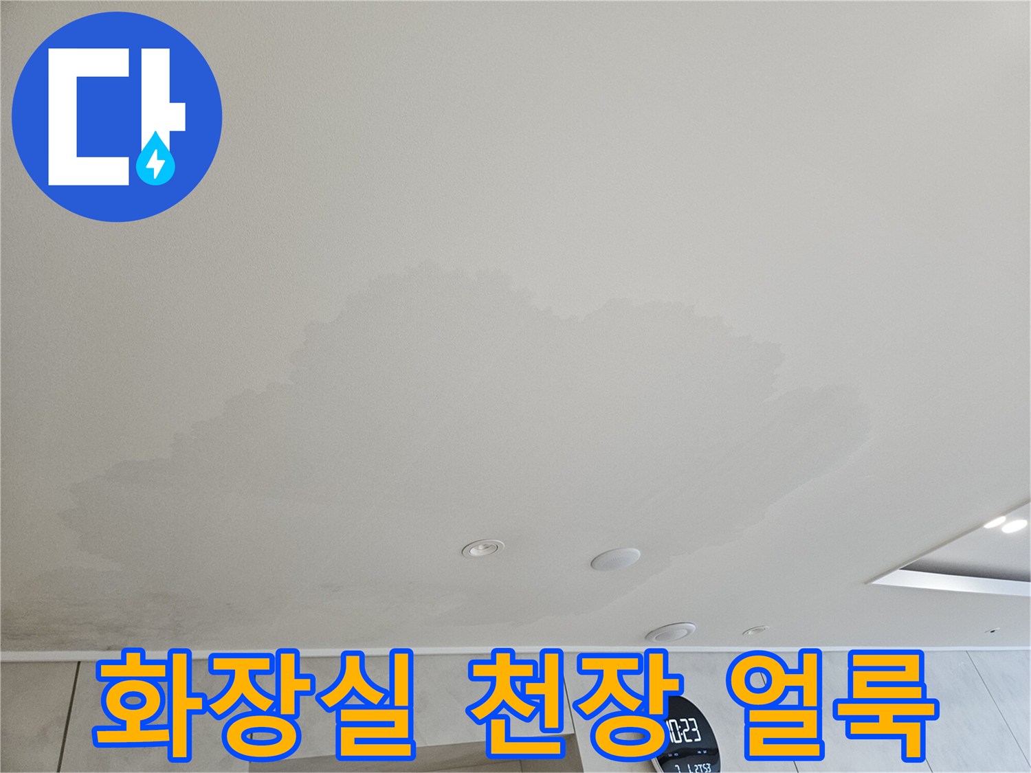 아랫집 화장실 천장에 발생한 넓은 습기 얼룩