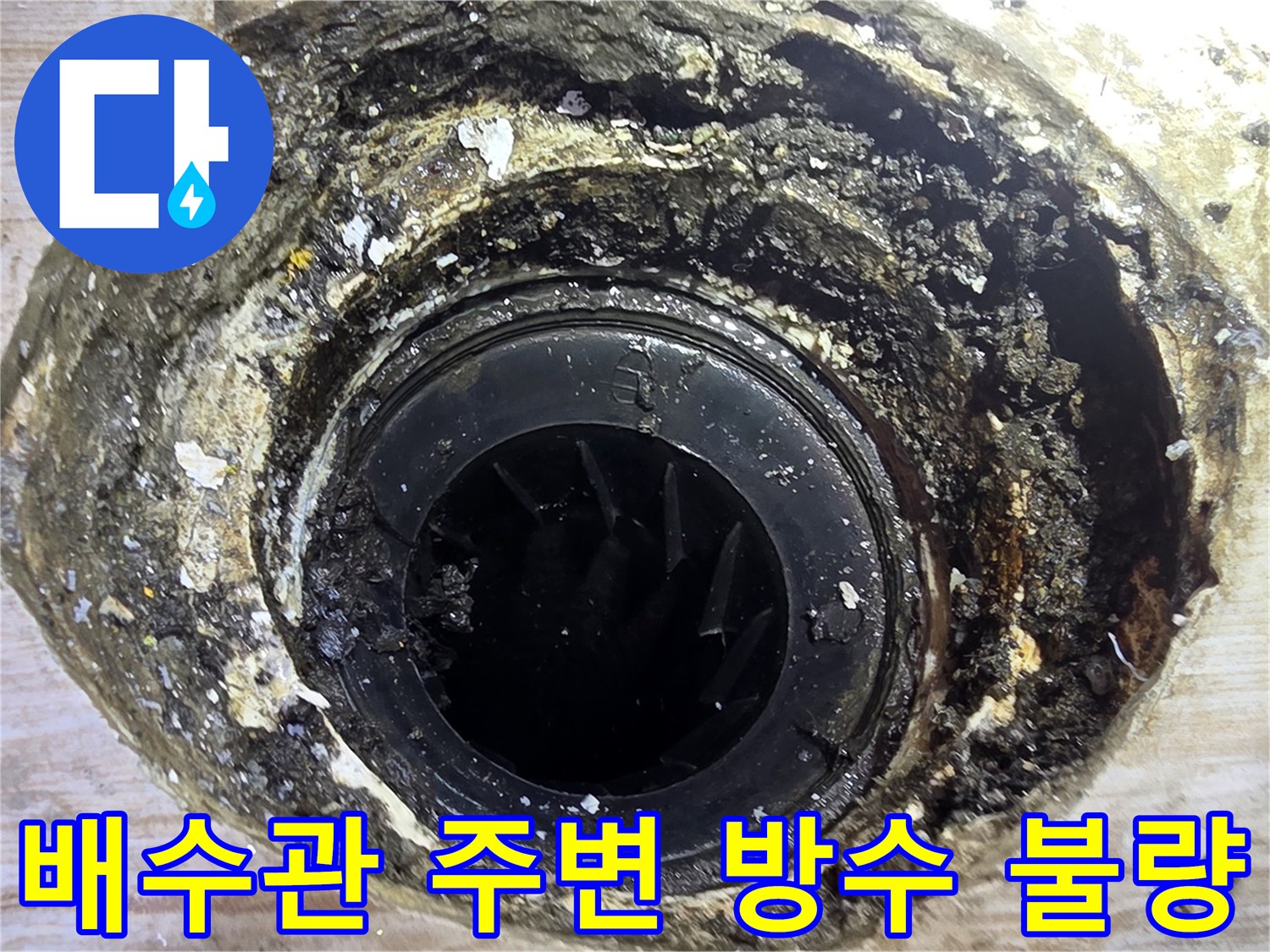 거칠게 파손된 배수구 주변 시멘트와 노출된 하수관의 모습