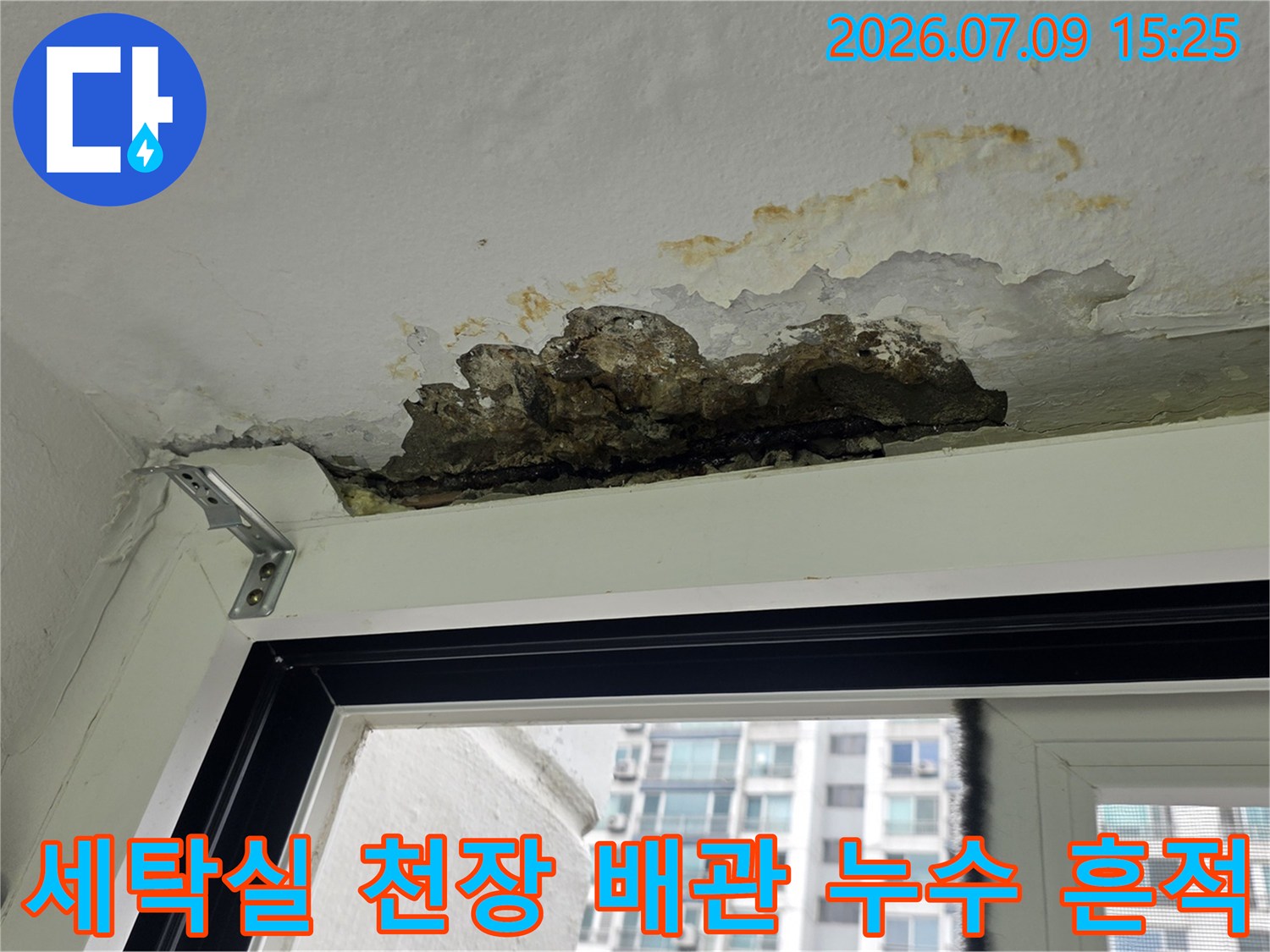 세탁실 천장 배수관 주변의 심한 변색과 곰팡이 오염 상태