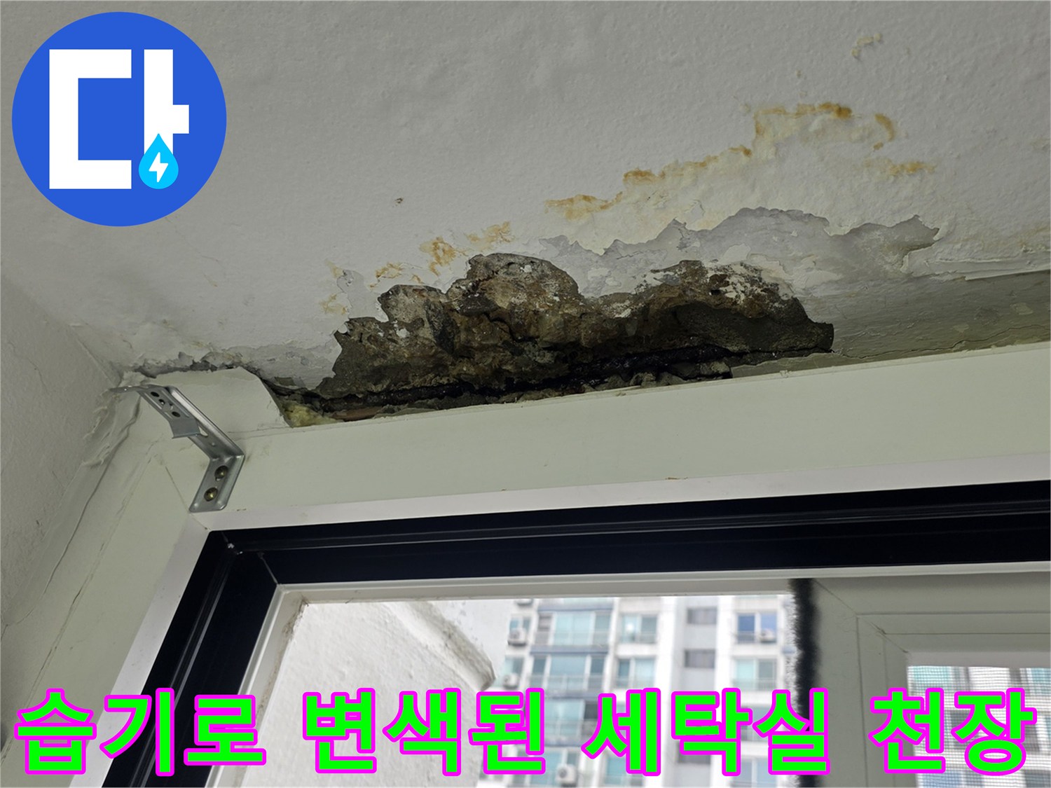 지속적인 누수로 인해 부풀고 오염된 배수 구역