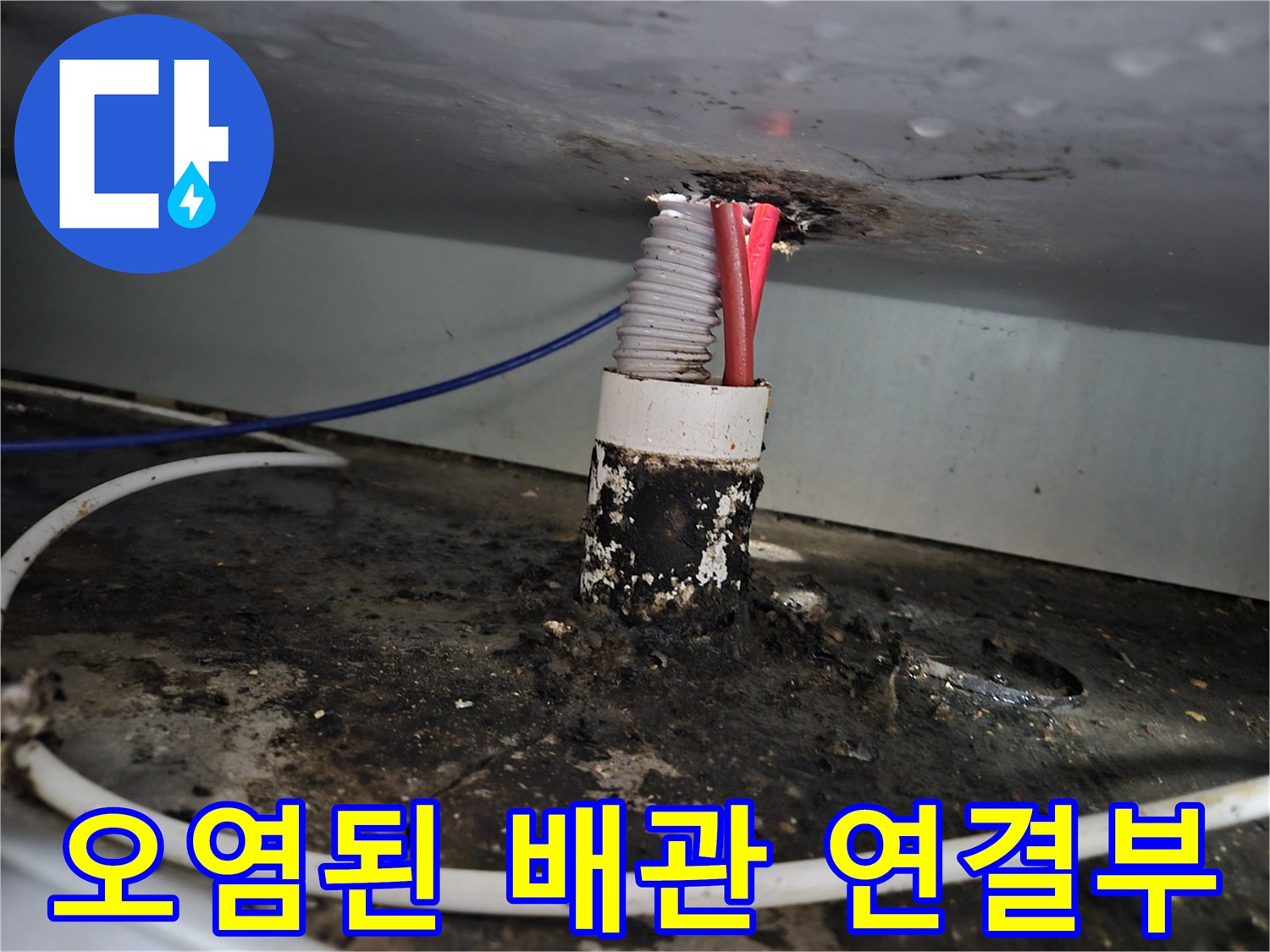 기름 슬러지가 굳어있는 싱크대 하단 배관 상태